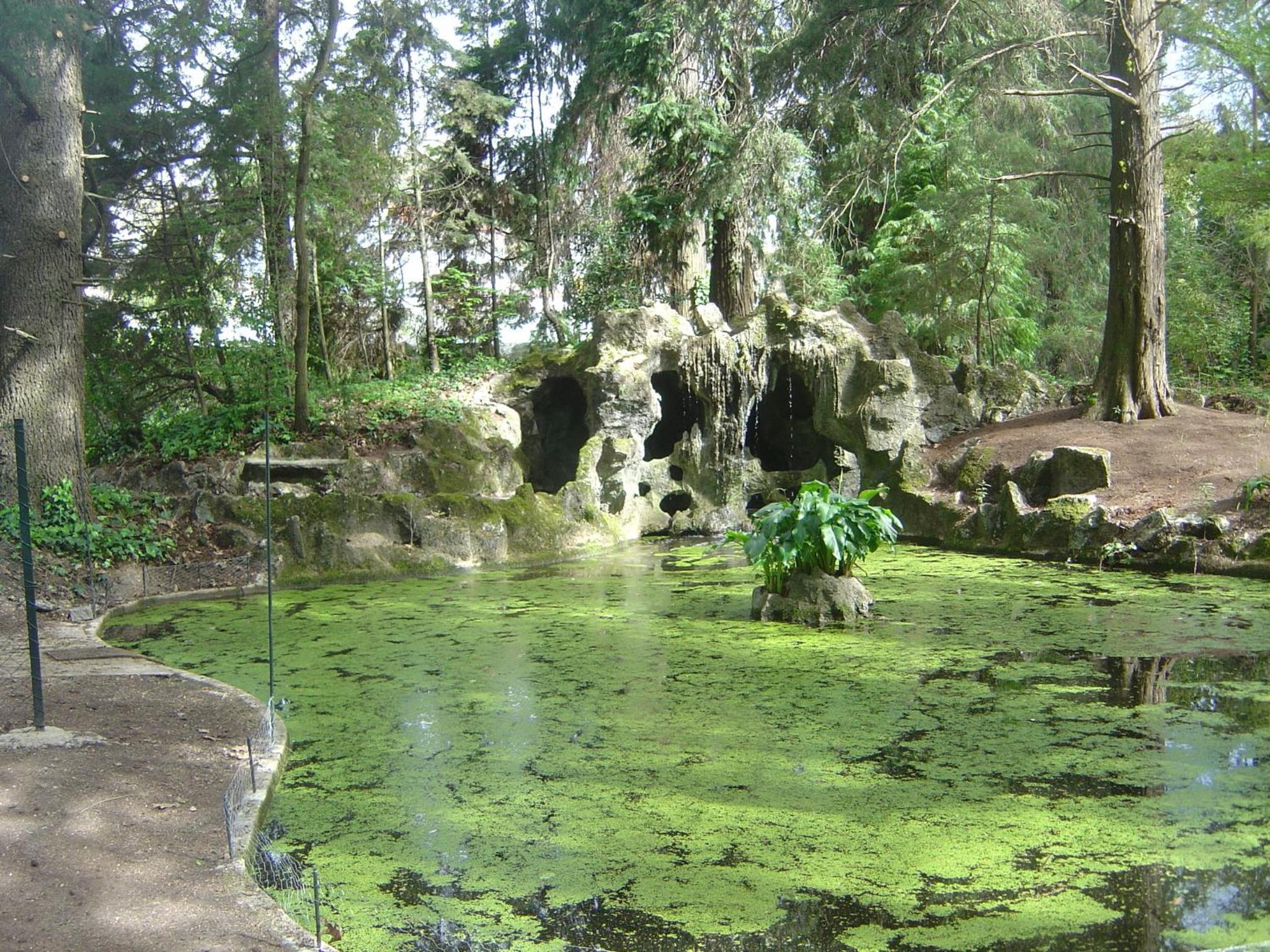 Photo 25