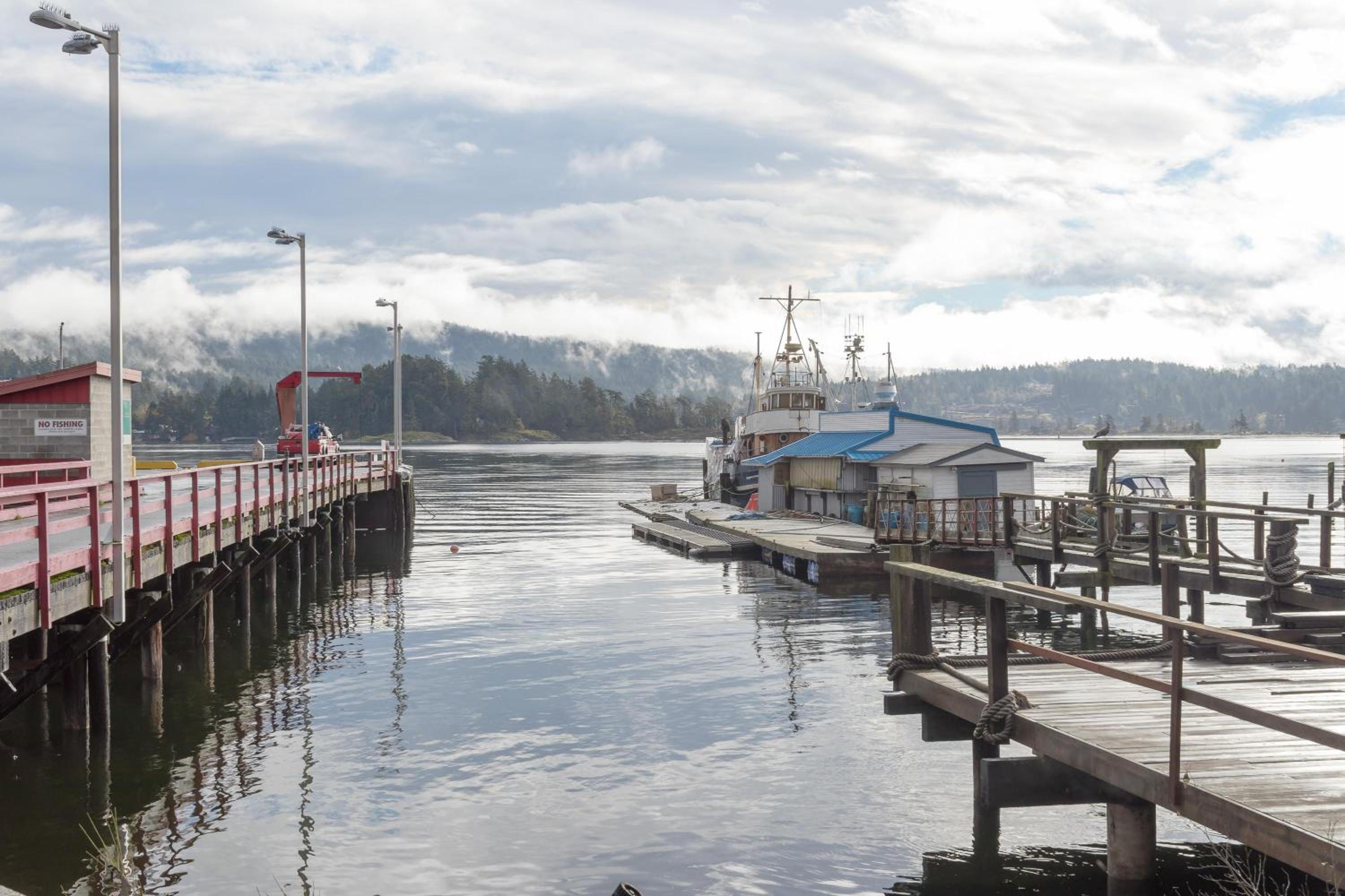 Sooke Vacations - Coffee With A View In Brand New One Bedroom At Sooke Harbour - Property Image 3