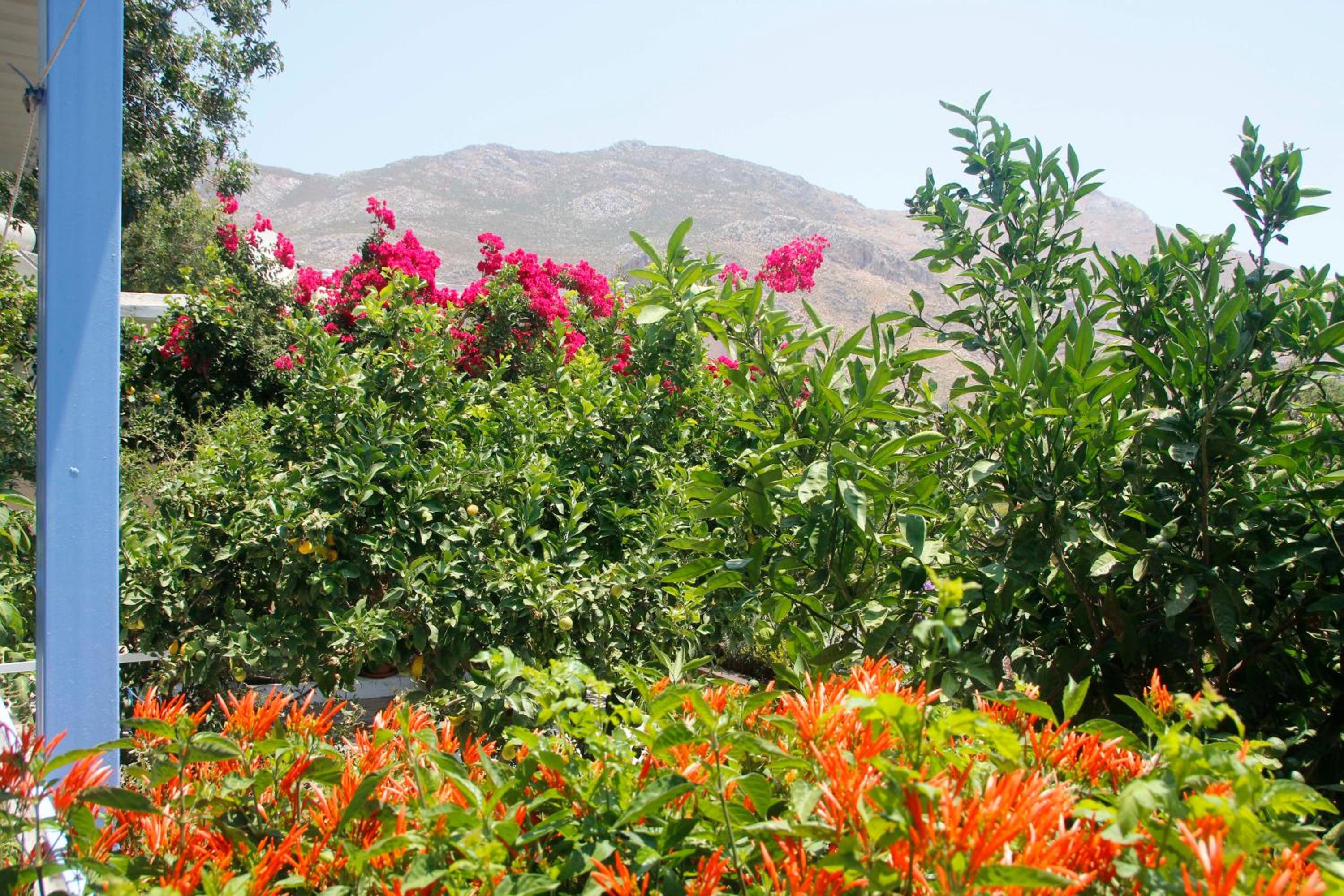 Milios Studios view 3