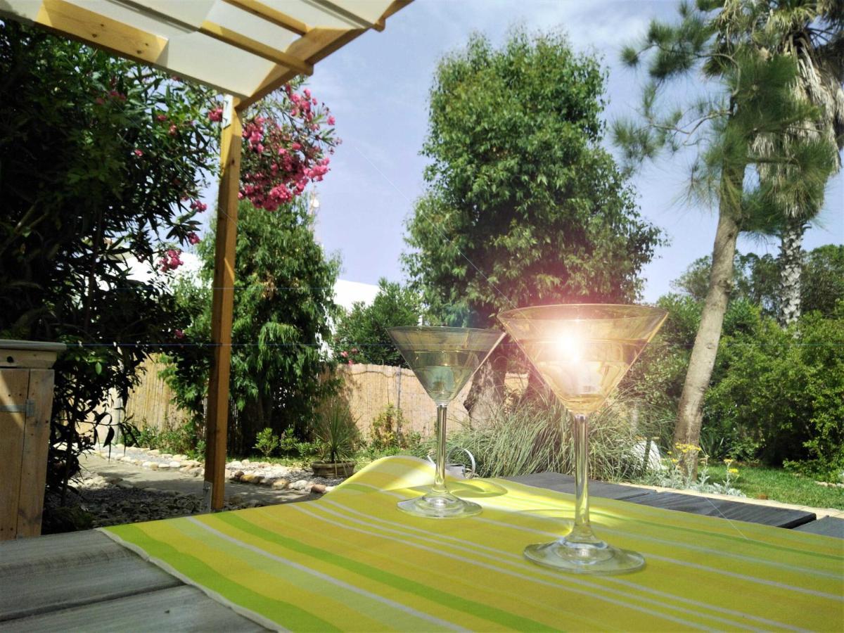 Dar Gitta & Wood El Haouaria