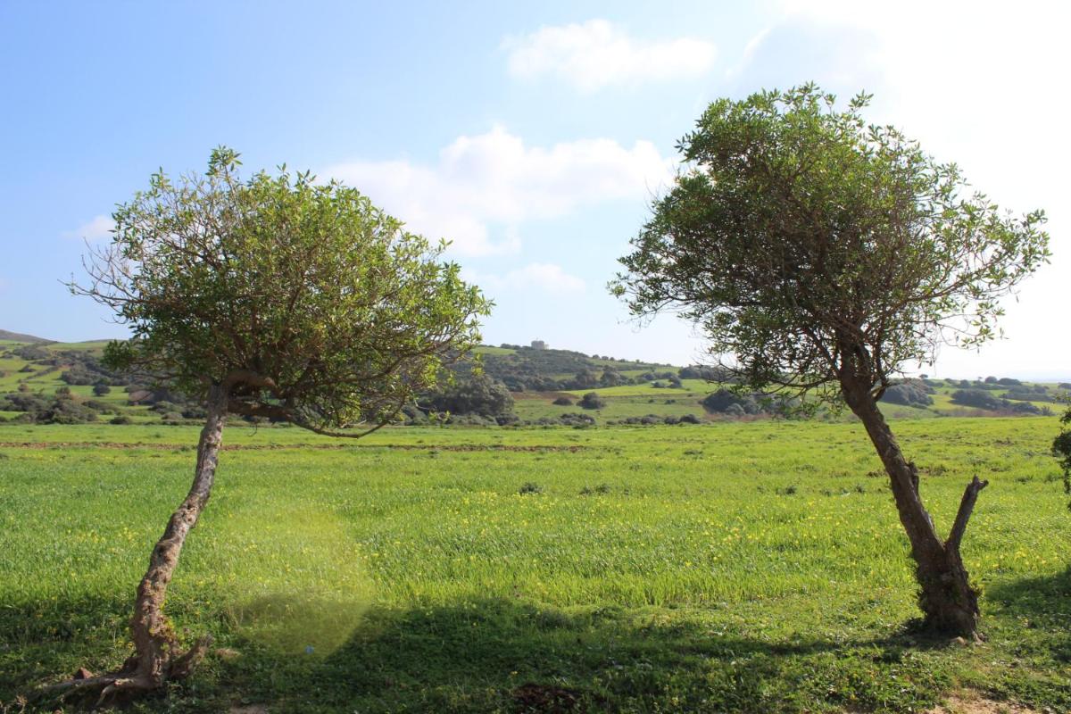 Dar Gitta & Wood El Haouaria