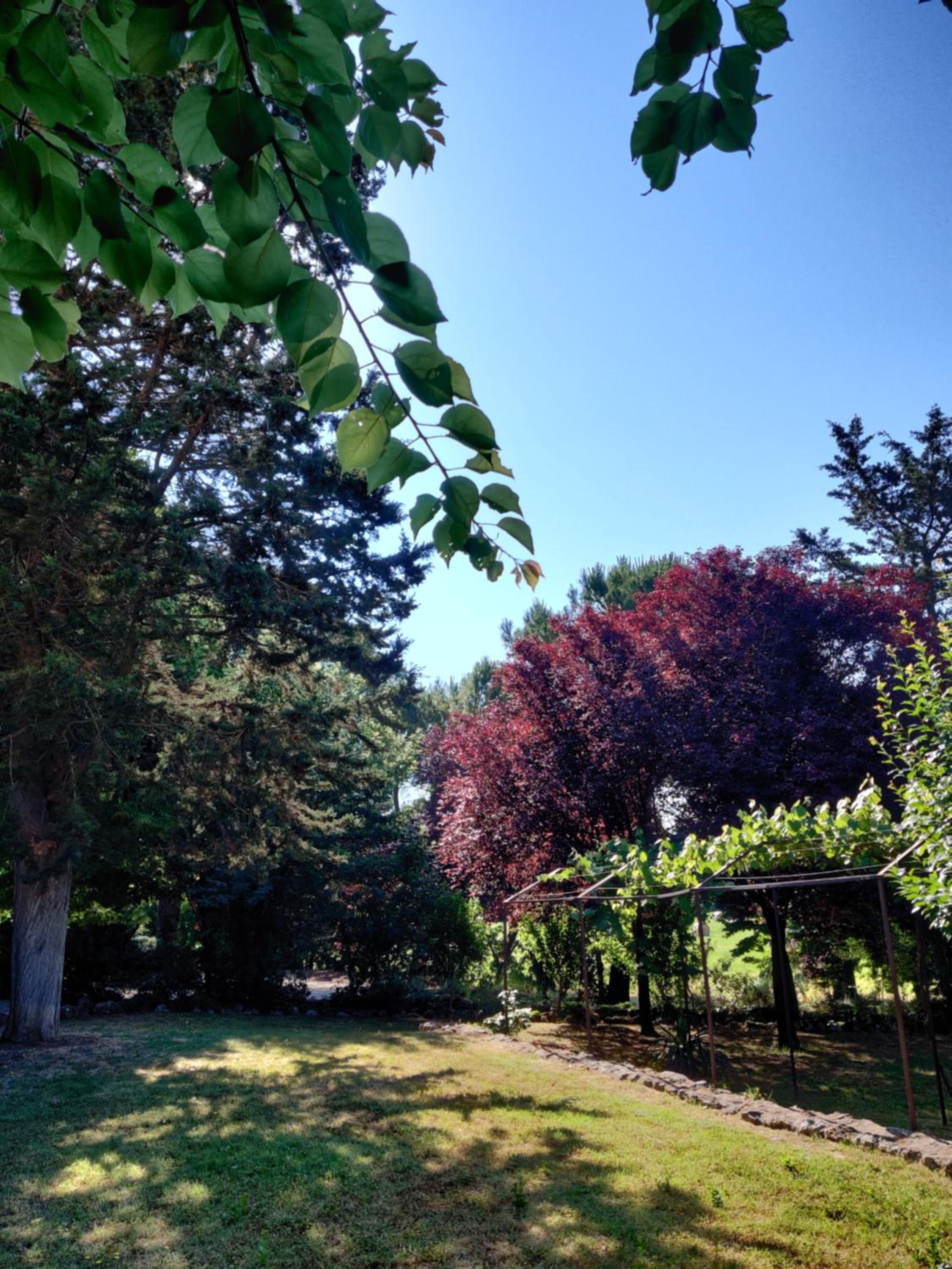 Fattoria Agriturismo Nerbona