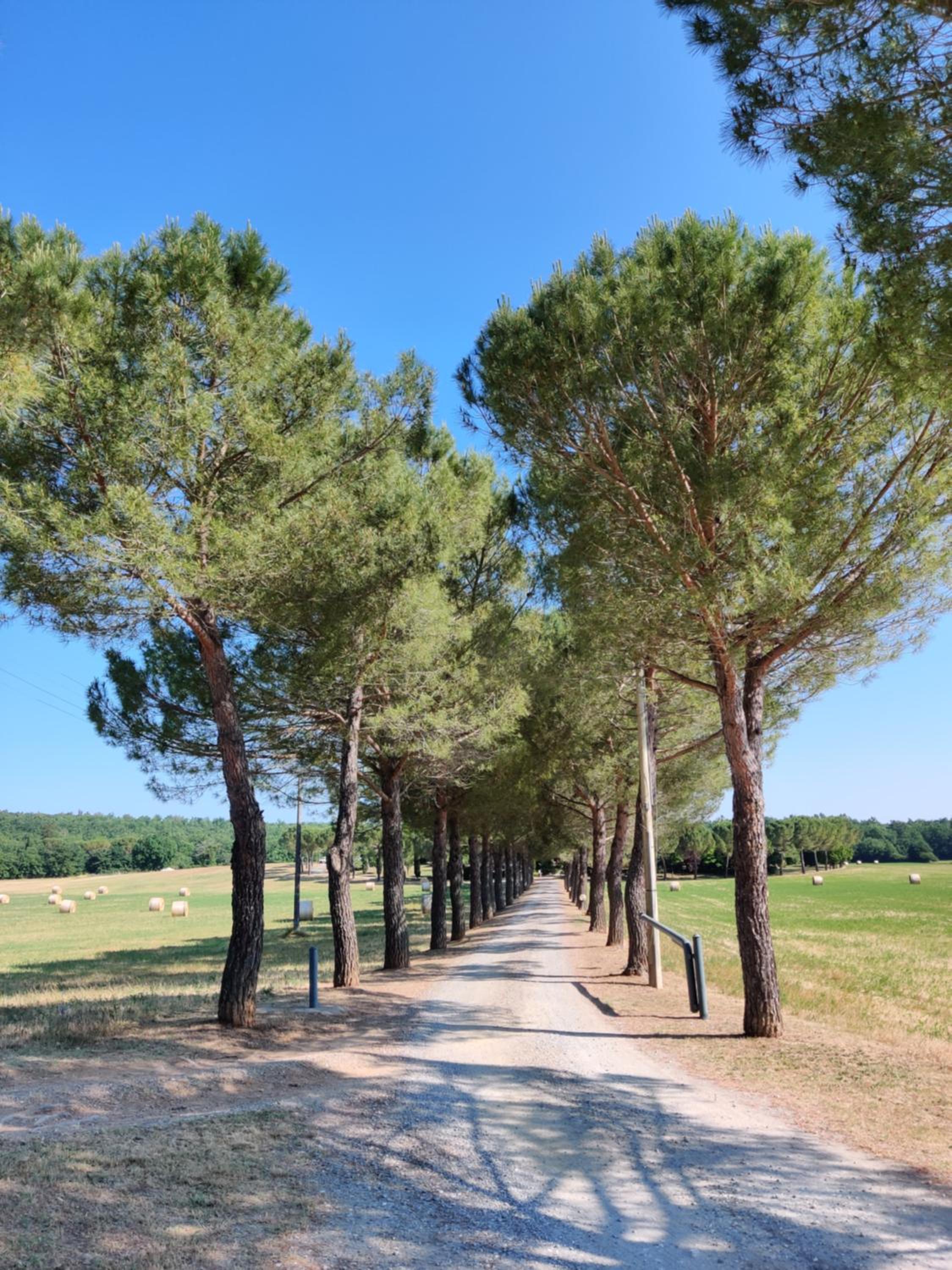 Fattoria Agriturismo Nerbona