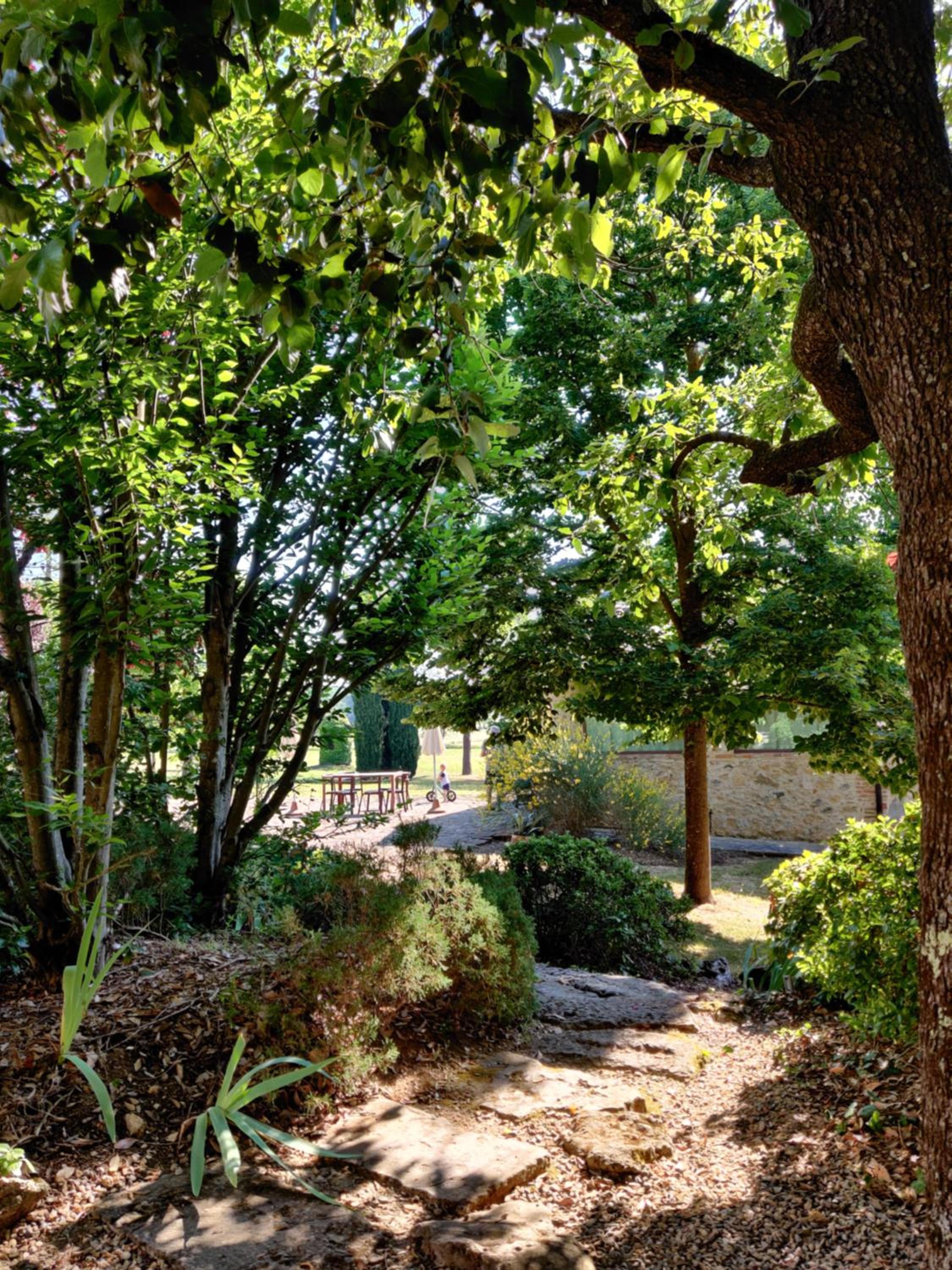 Fattoria Agriturismo Nerbona