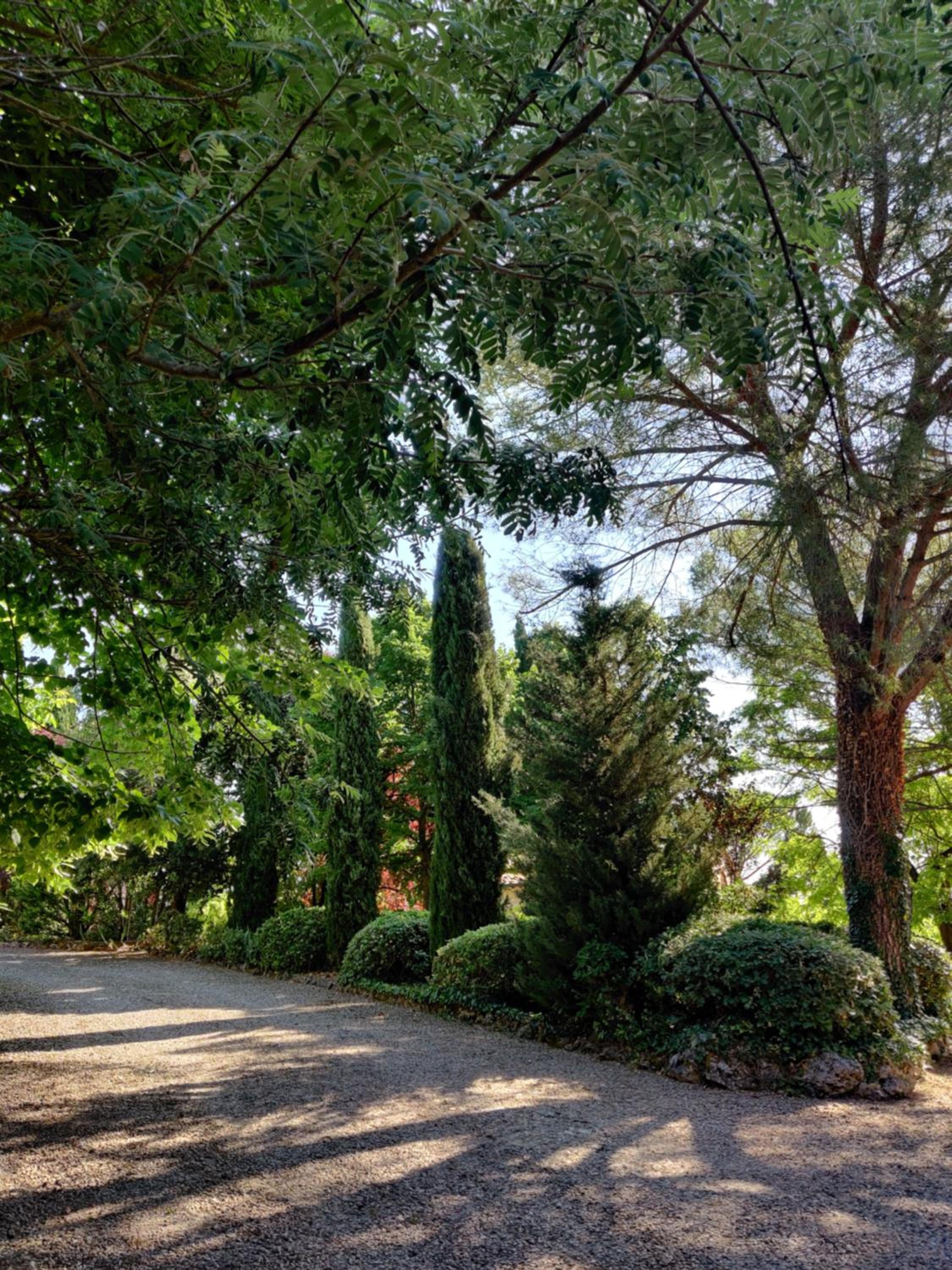 Fattoria Agriturismo Nerbona