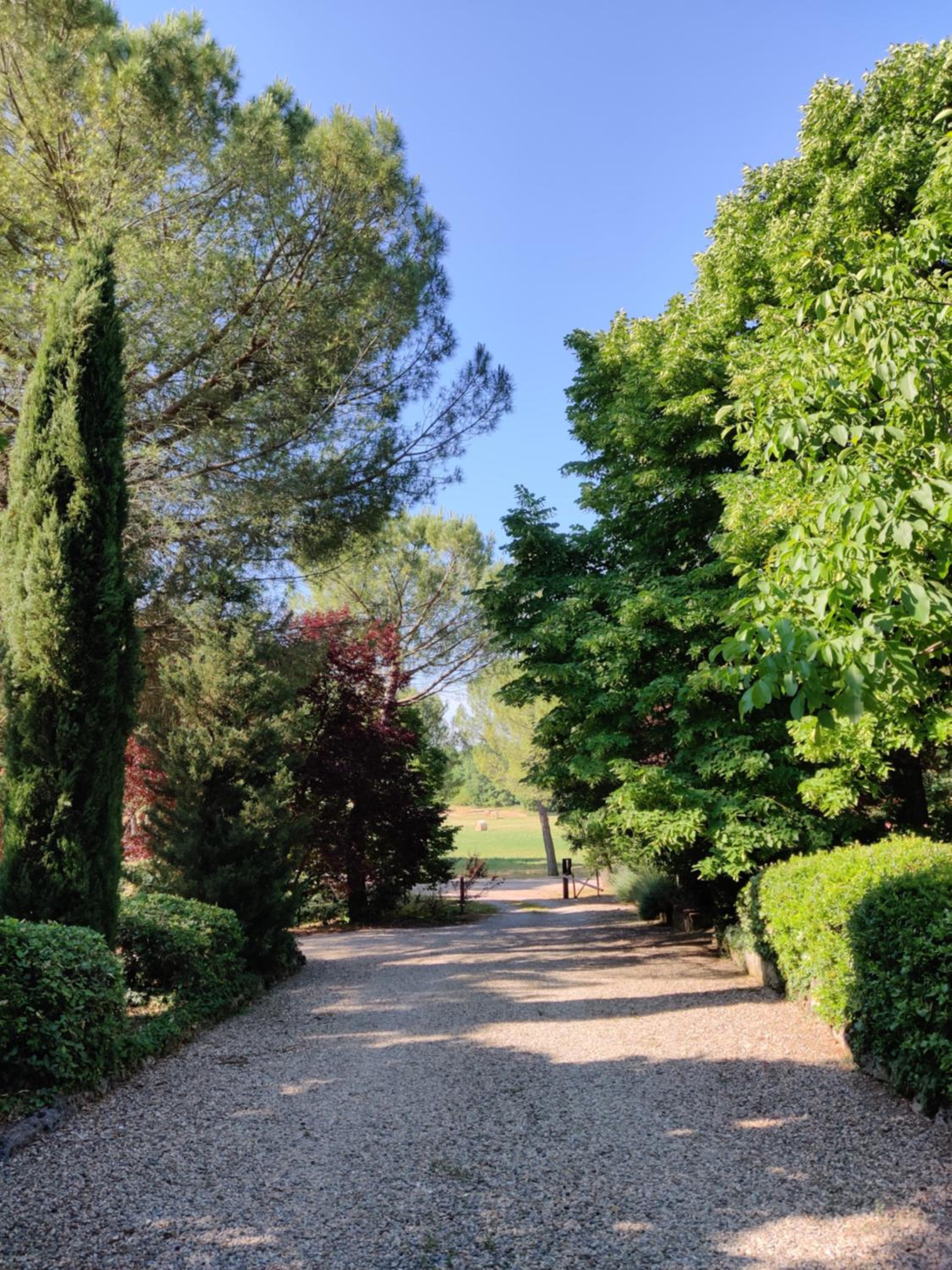 Fattoria Agriturismo Nerbona