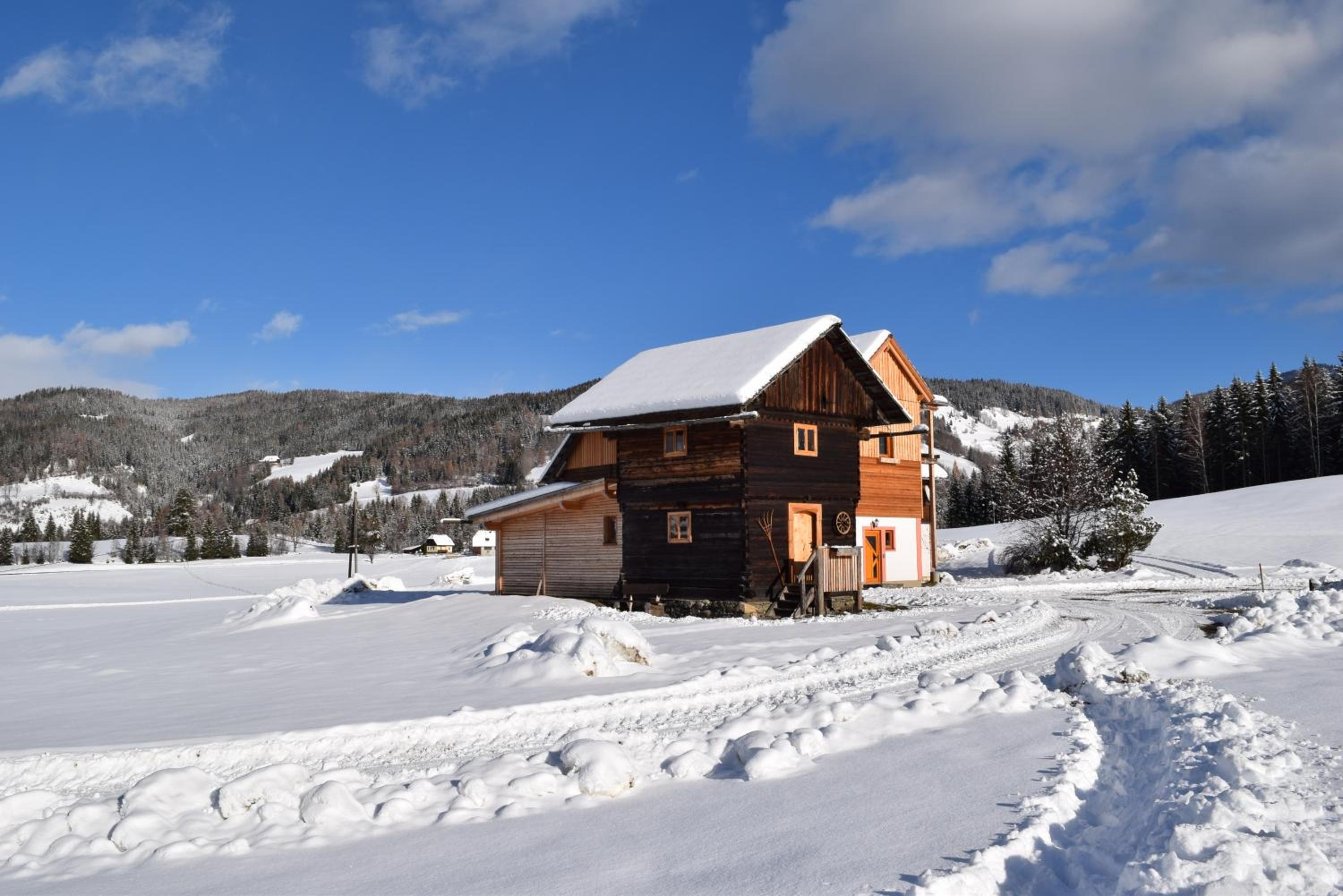 Ferienhütte Troadkostn