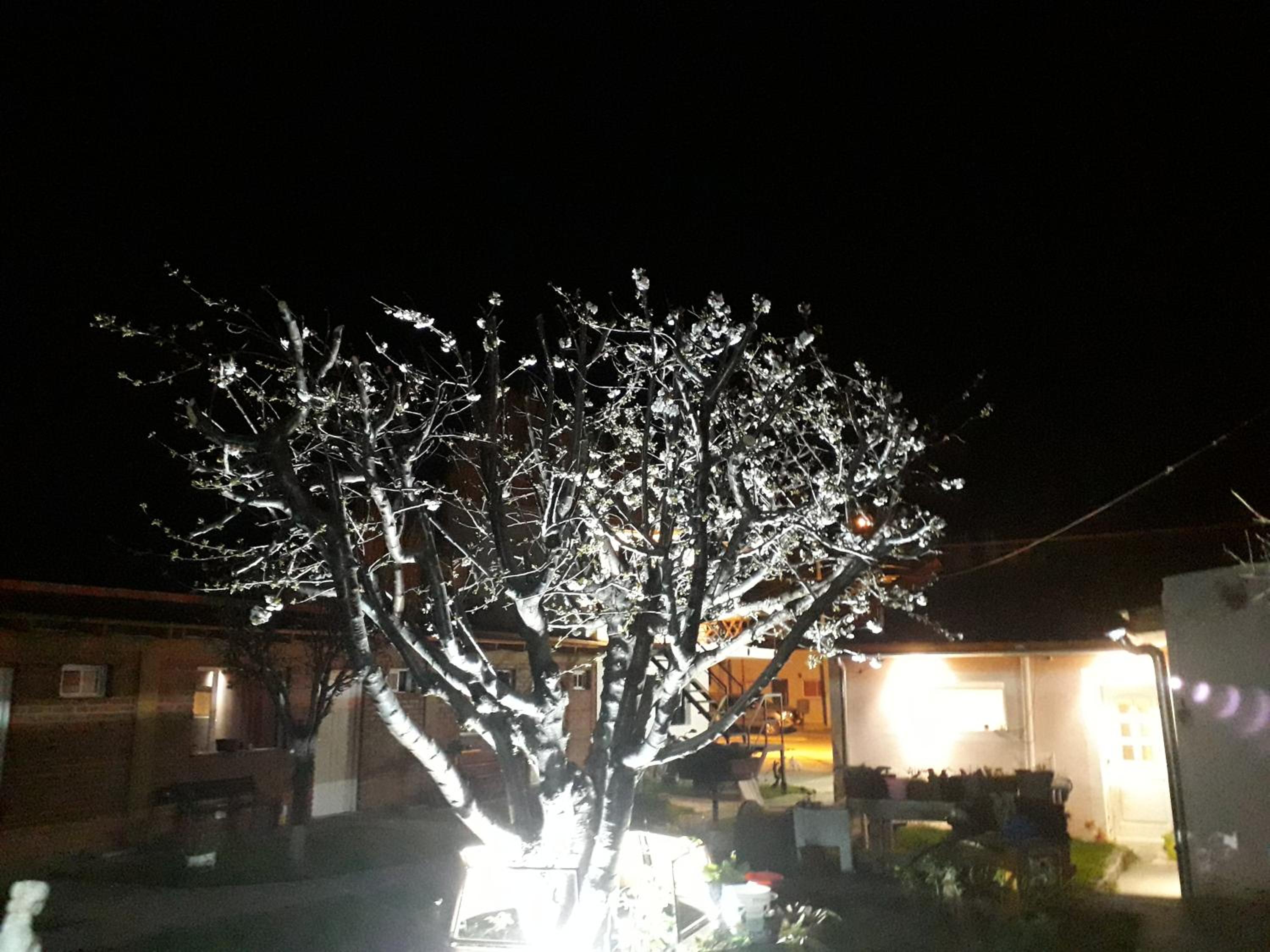 Lau-Fer Apartamentos