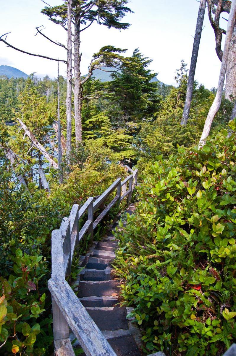 Wild Pacific Guest Suites