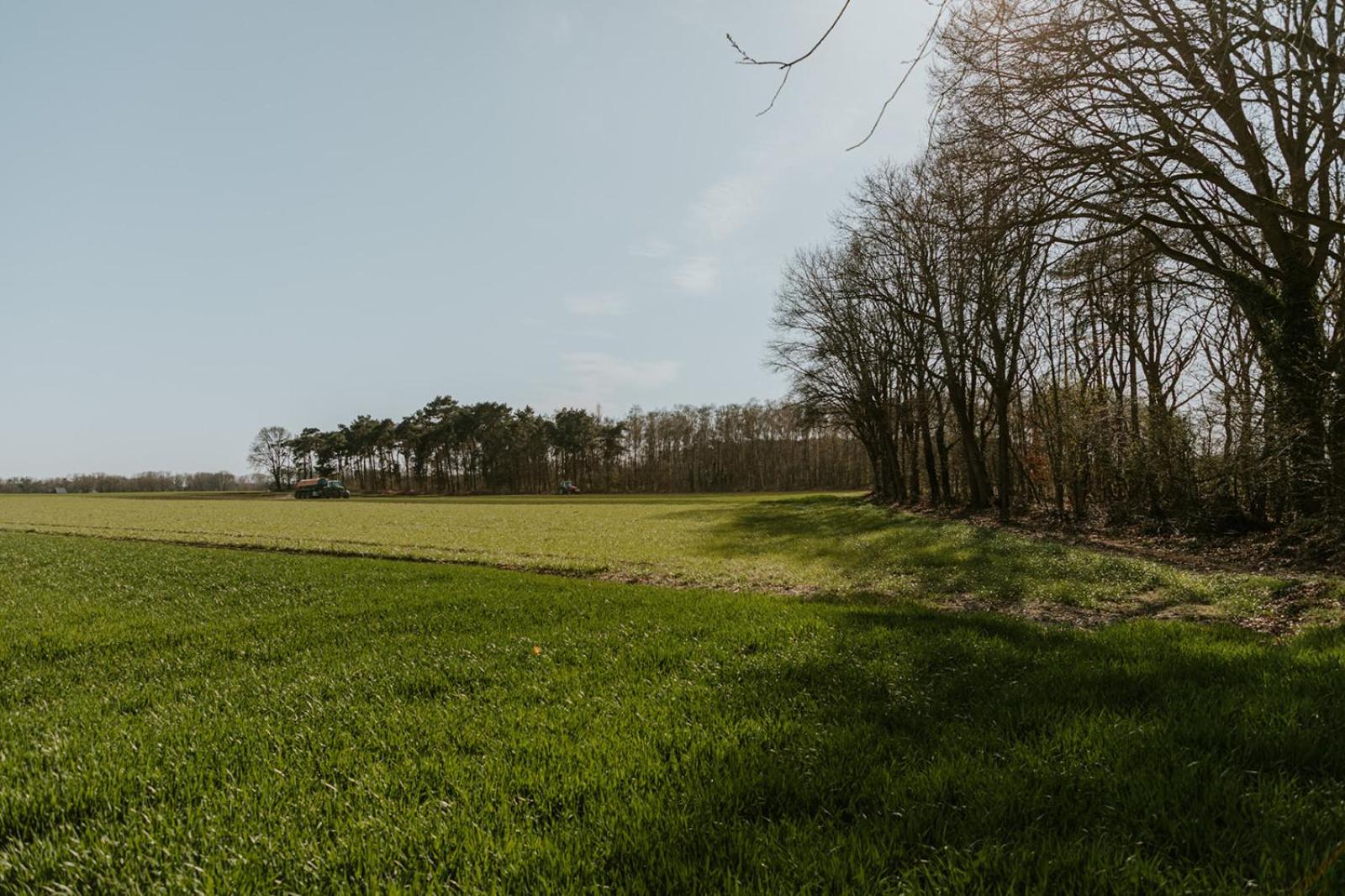 Kipdorp39