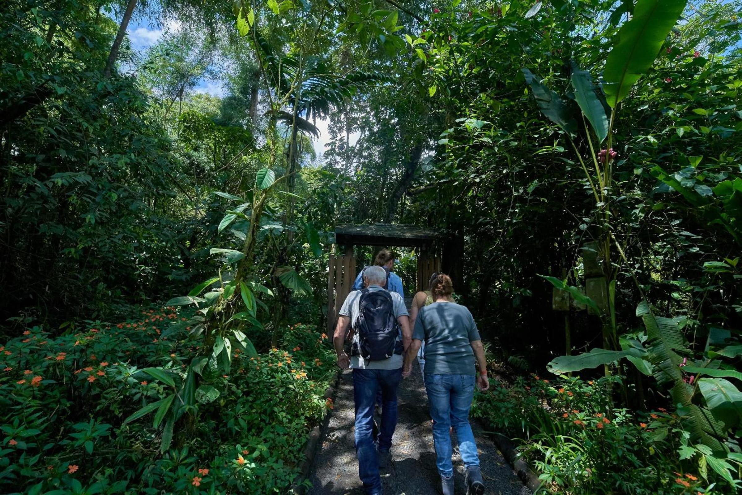 Casa Divina Eco Lodge