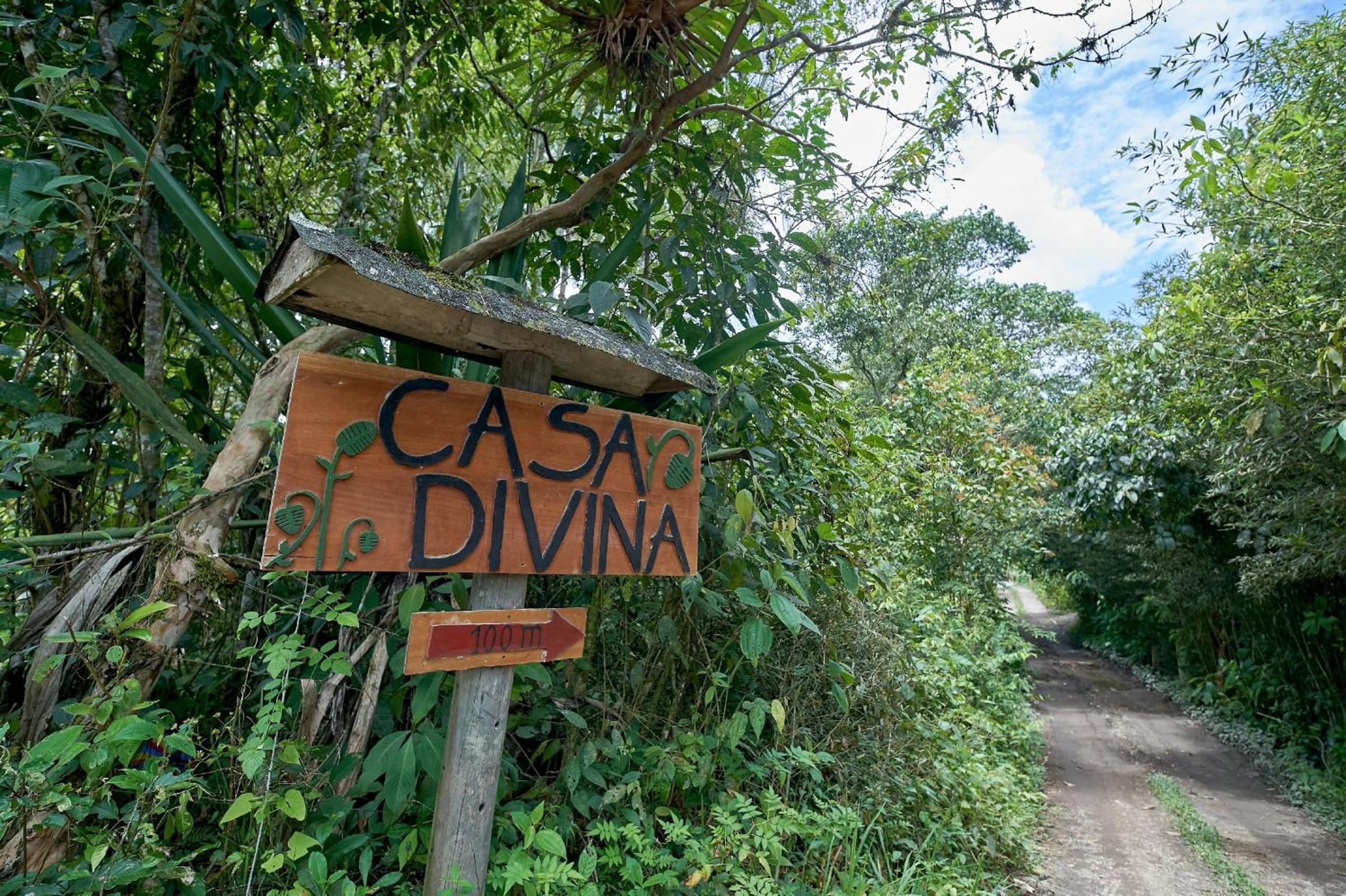 Casa Divina Eco Lodge