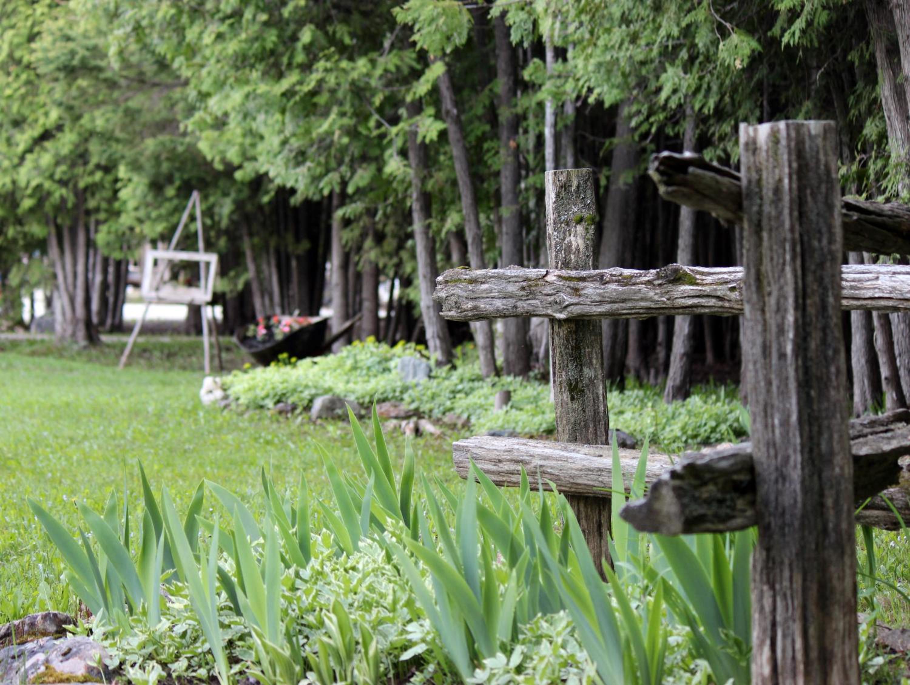 MellowOut B&B
