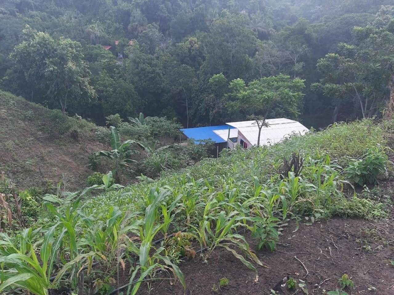 EcoHostal Tierra Prometida