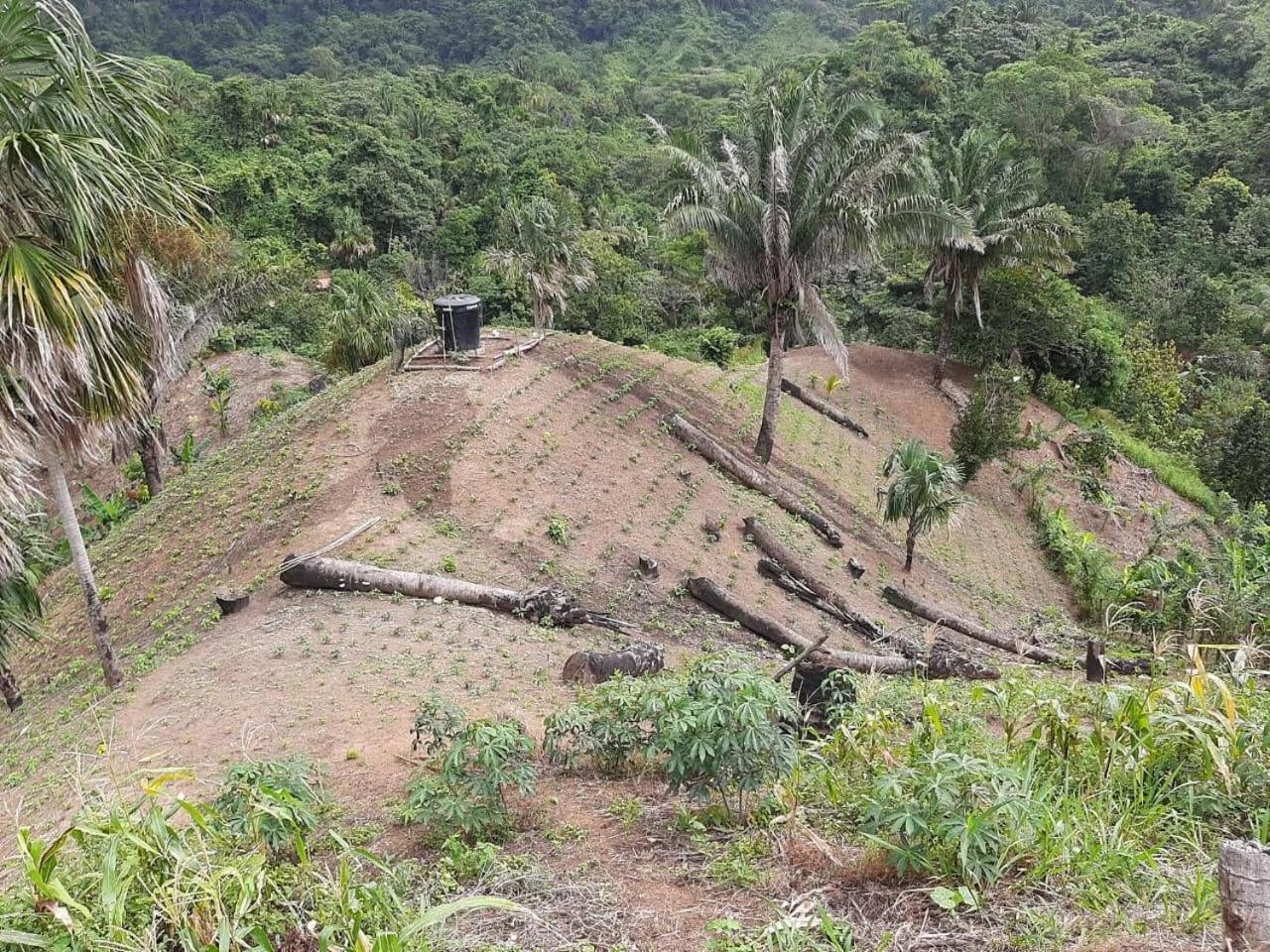 EcoHostal Tierra Prometida