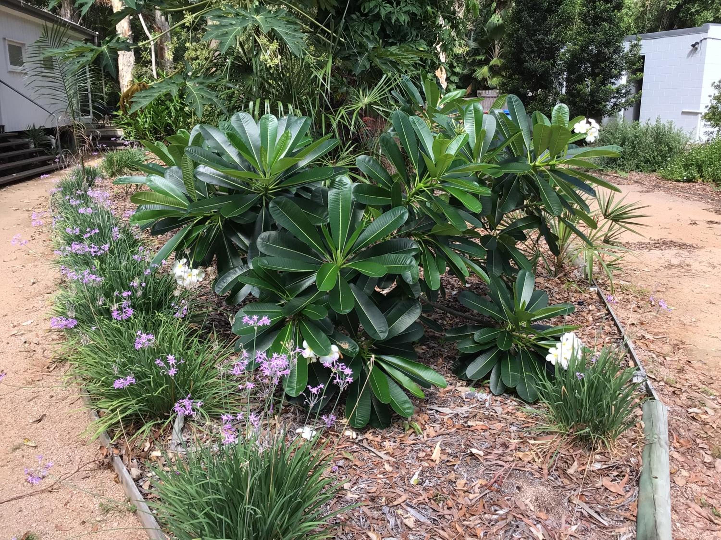Dandaloo Gardens