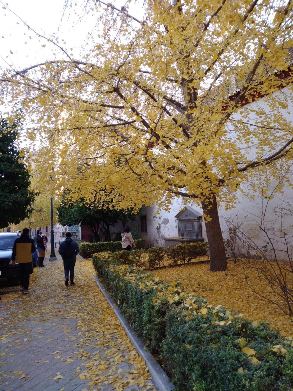 Photo 28