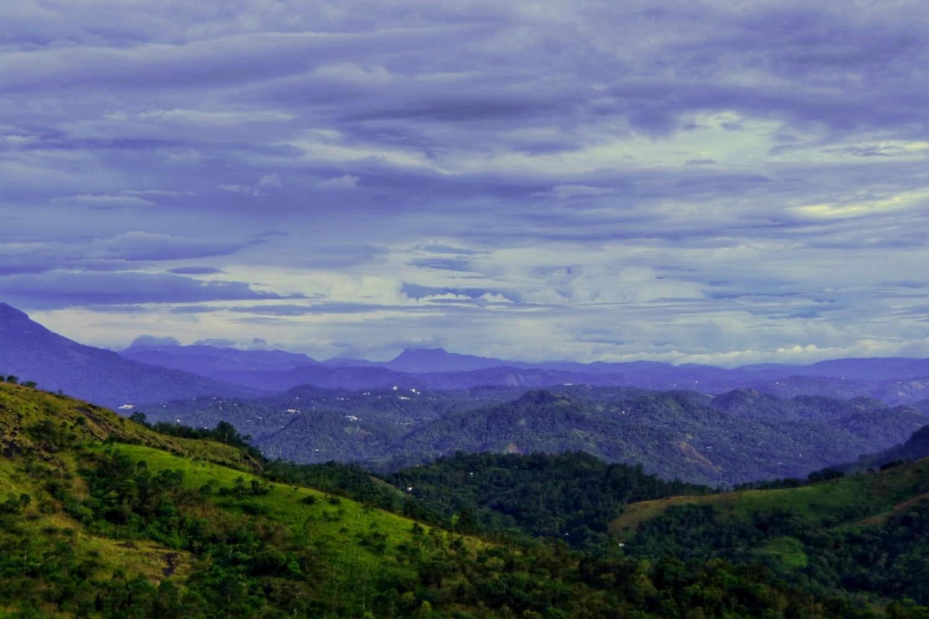 Wild Mist Homestay view 4