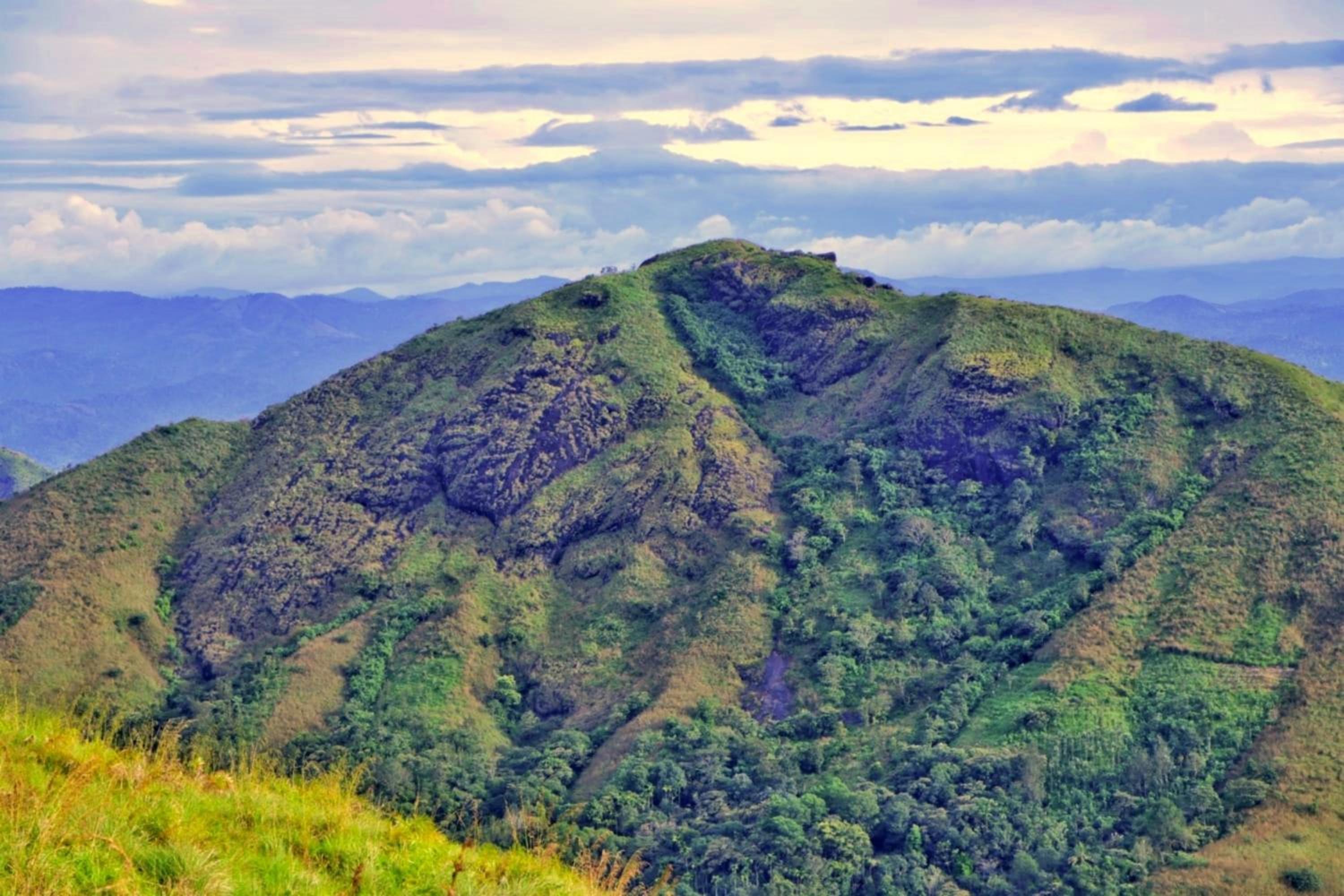 Photo 50