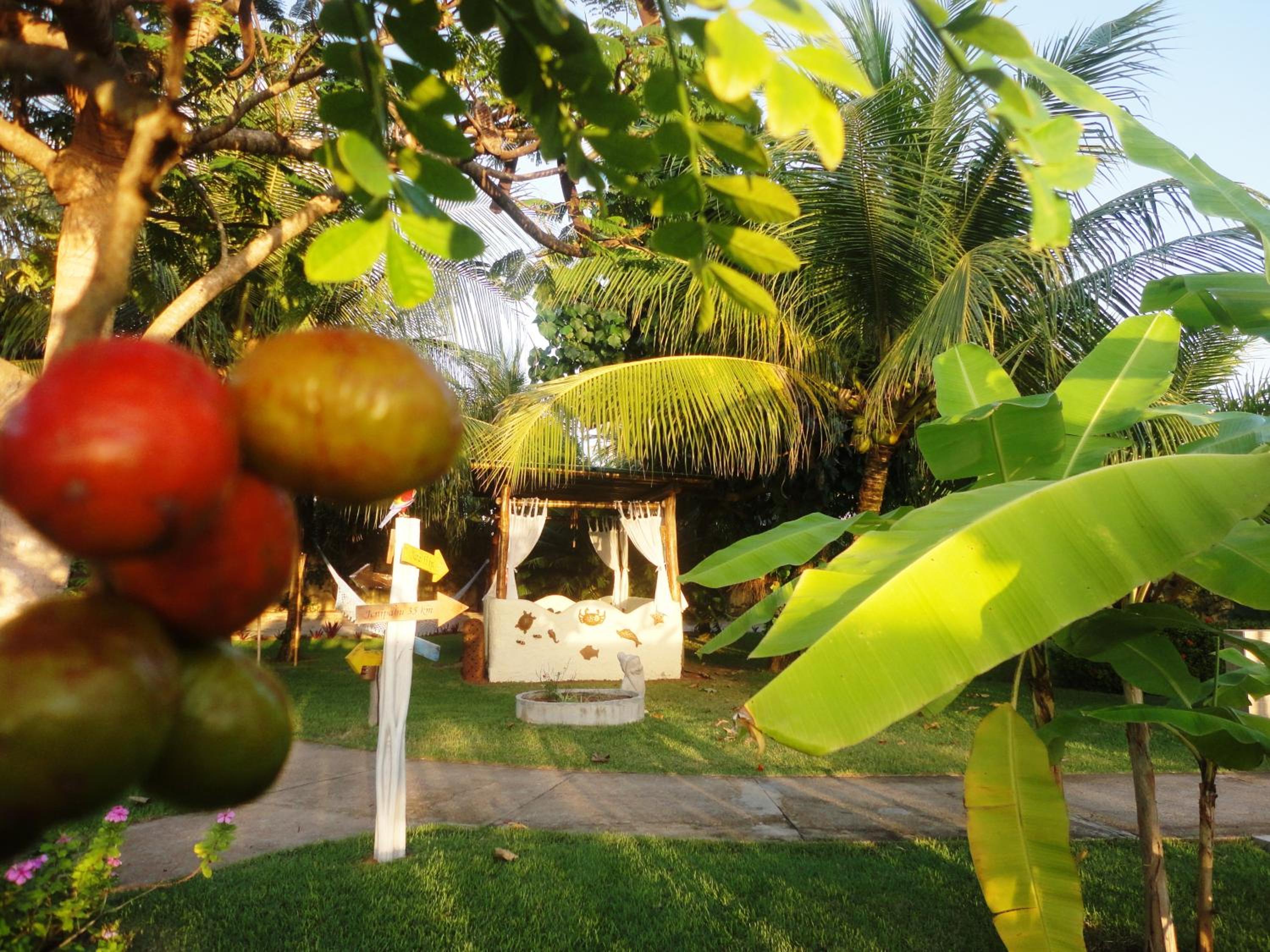 garden