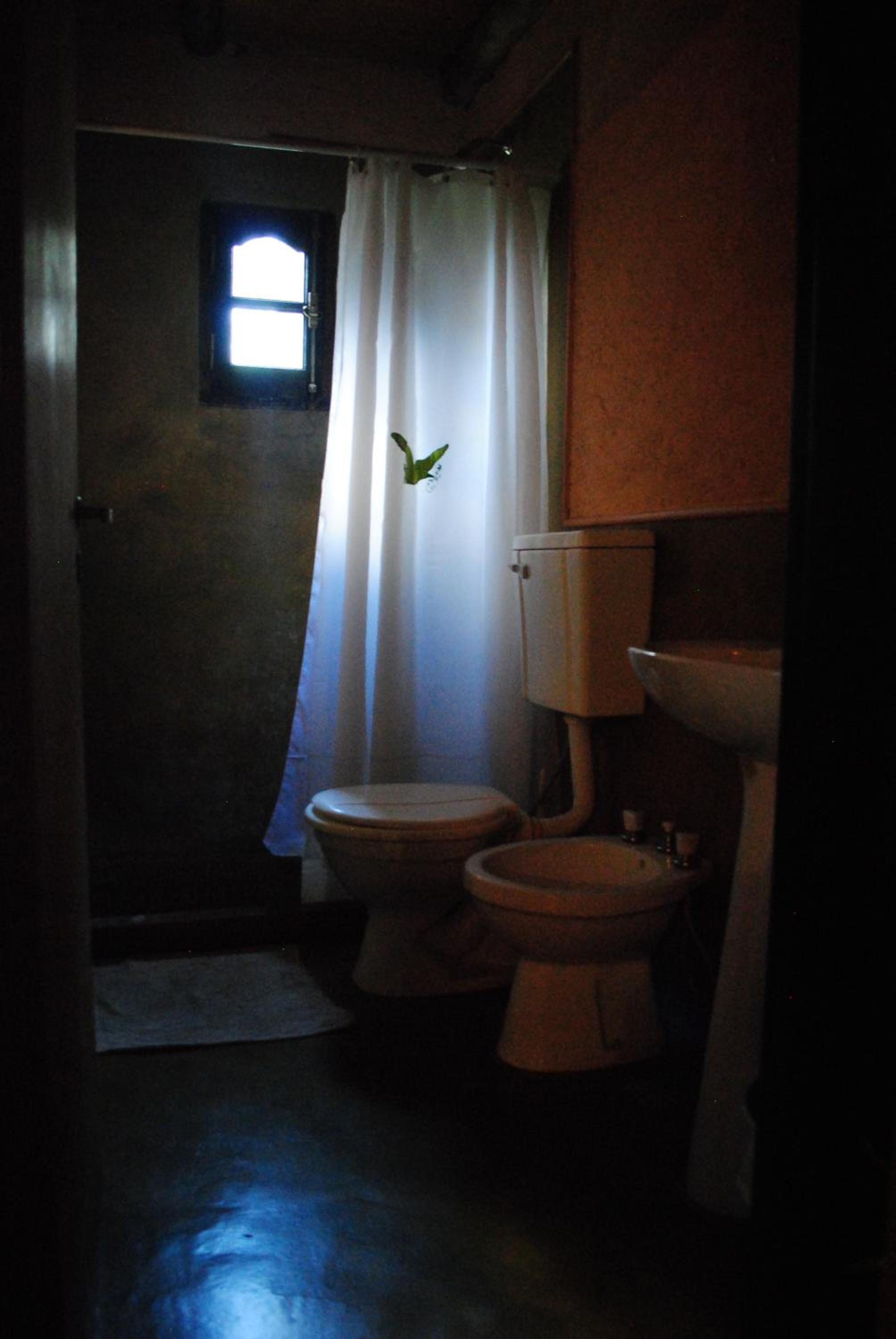 CABAÑAS LA ARBOLEDA DE TOMASA