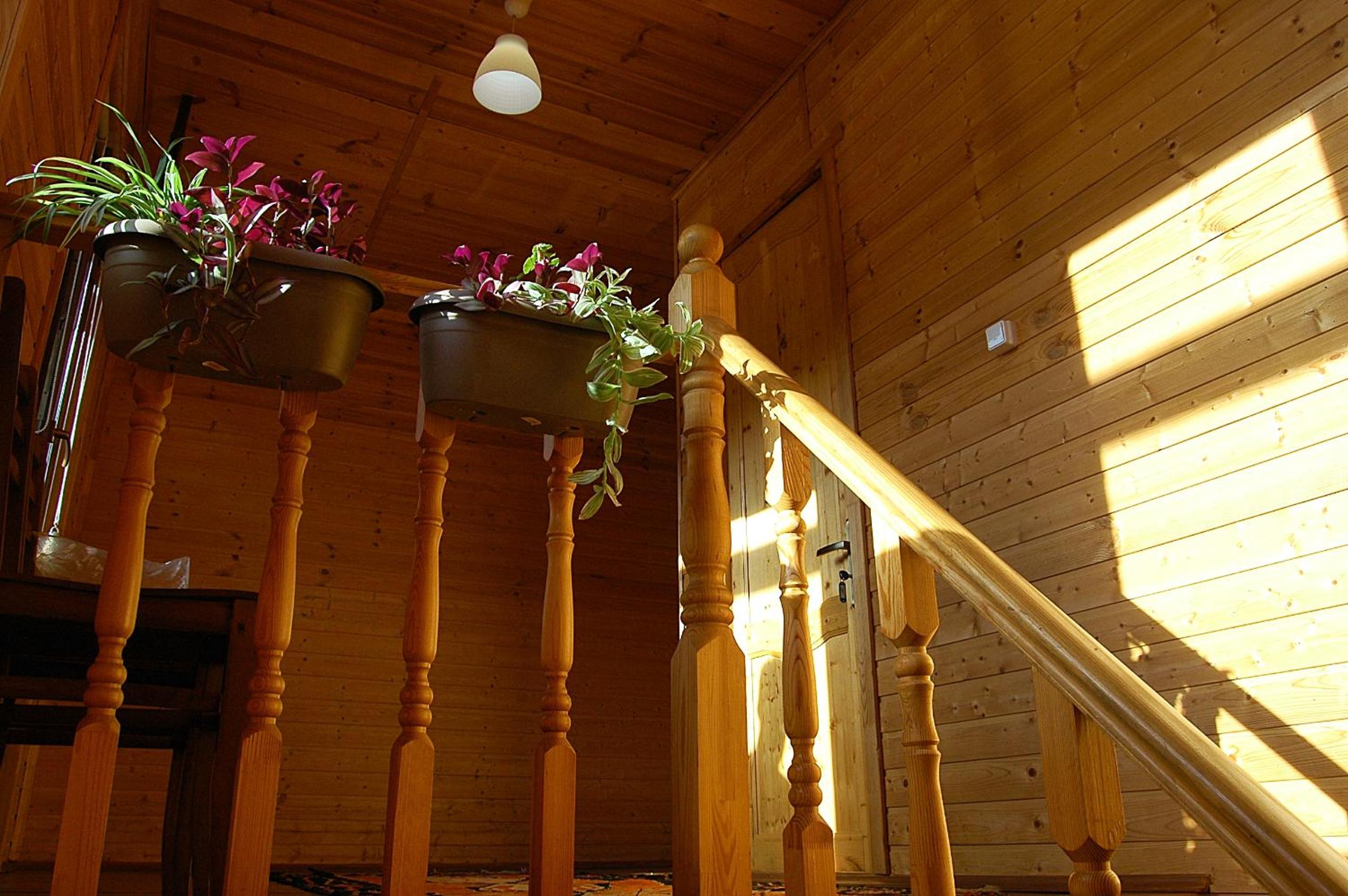 Badishi Guesthouse