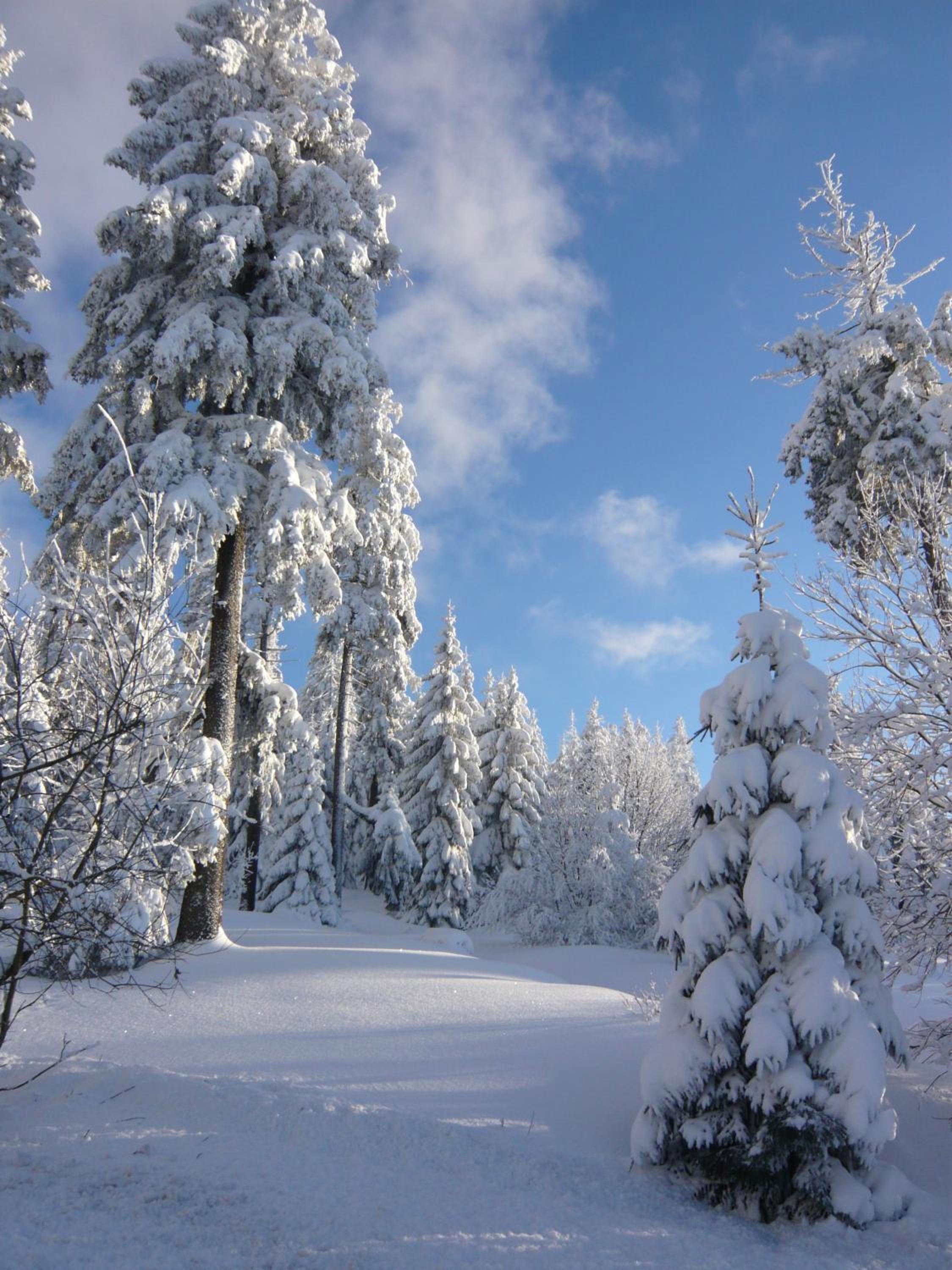 Harz-Sonne 2 view 3