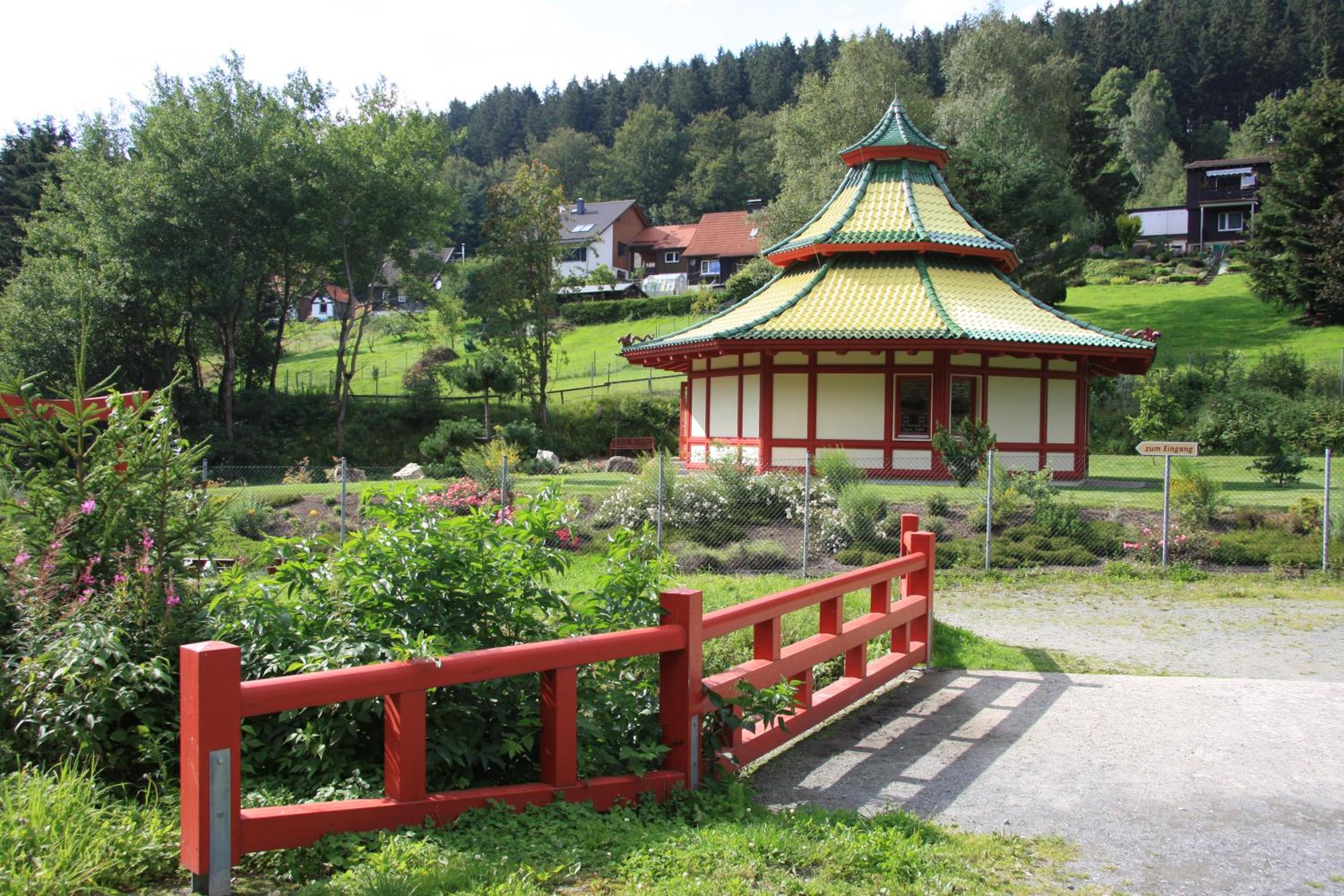 Photo 16