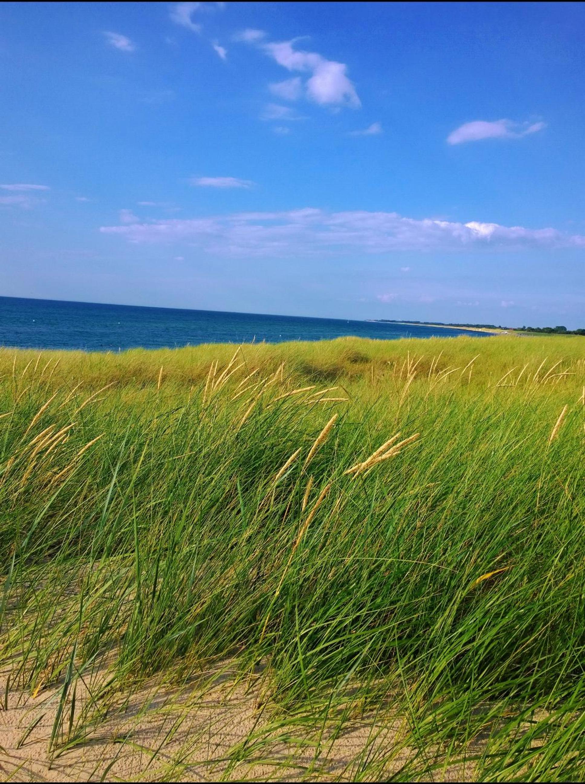 Ostsee Ferienappartement Dierhagen-Strand