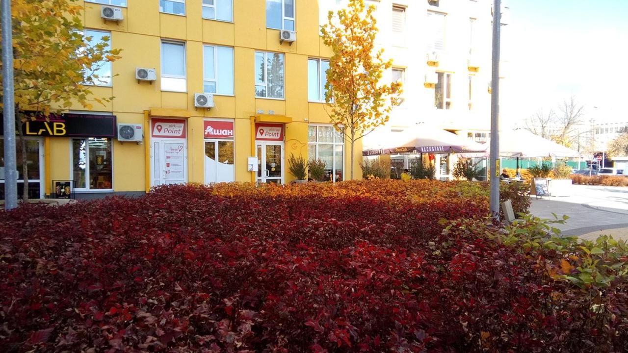 Photo 14