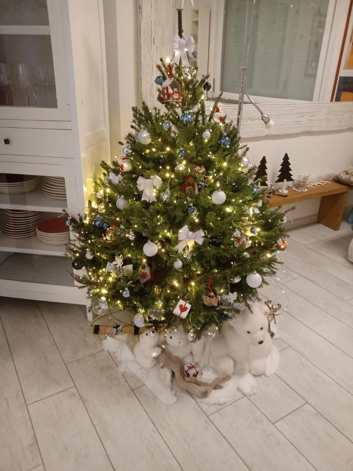 Photo 26