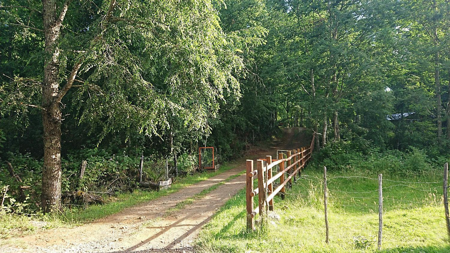 Parcela Traitraico, Coñaripe