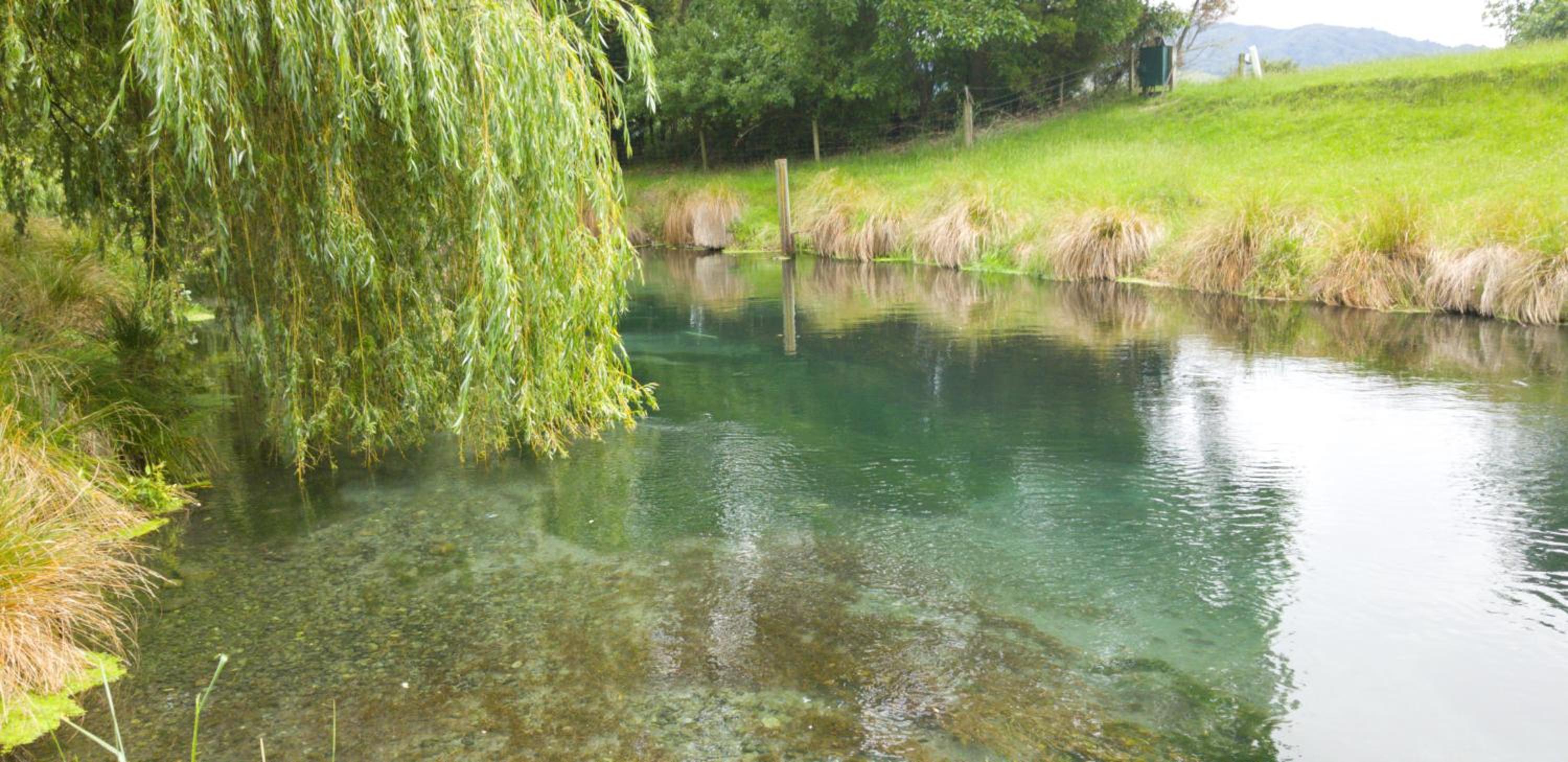 Spring Creek Holiday Park view 4