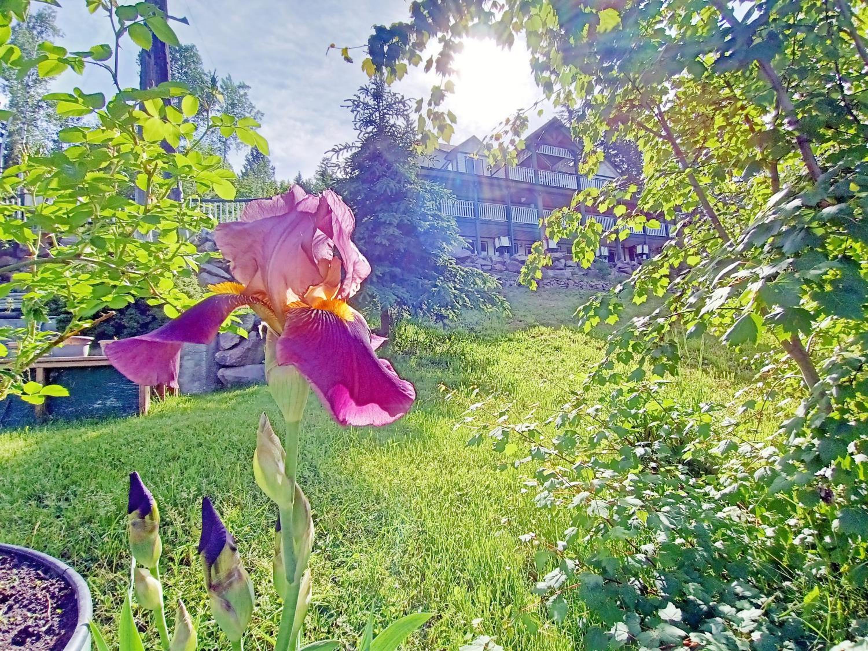 Golden Vacations - 2mins to Town, AC  Sauna, Self Check-in, Full Kitchen, Free Laundry  Parking, Family Pet Friendly, Comfortably Sleeps Up To 10 - Property Image 24