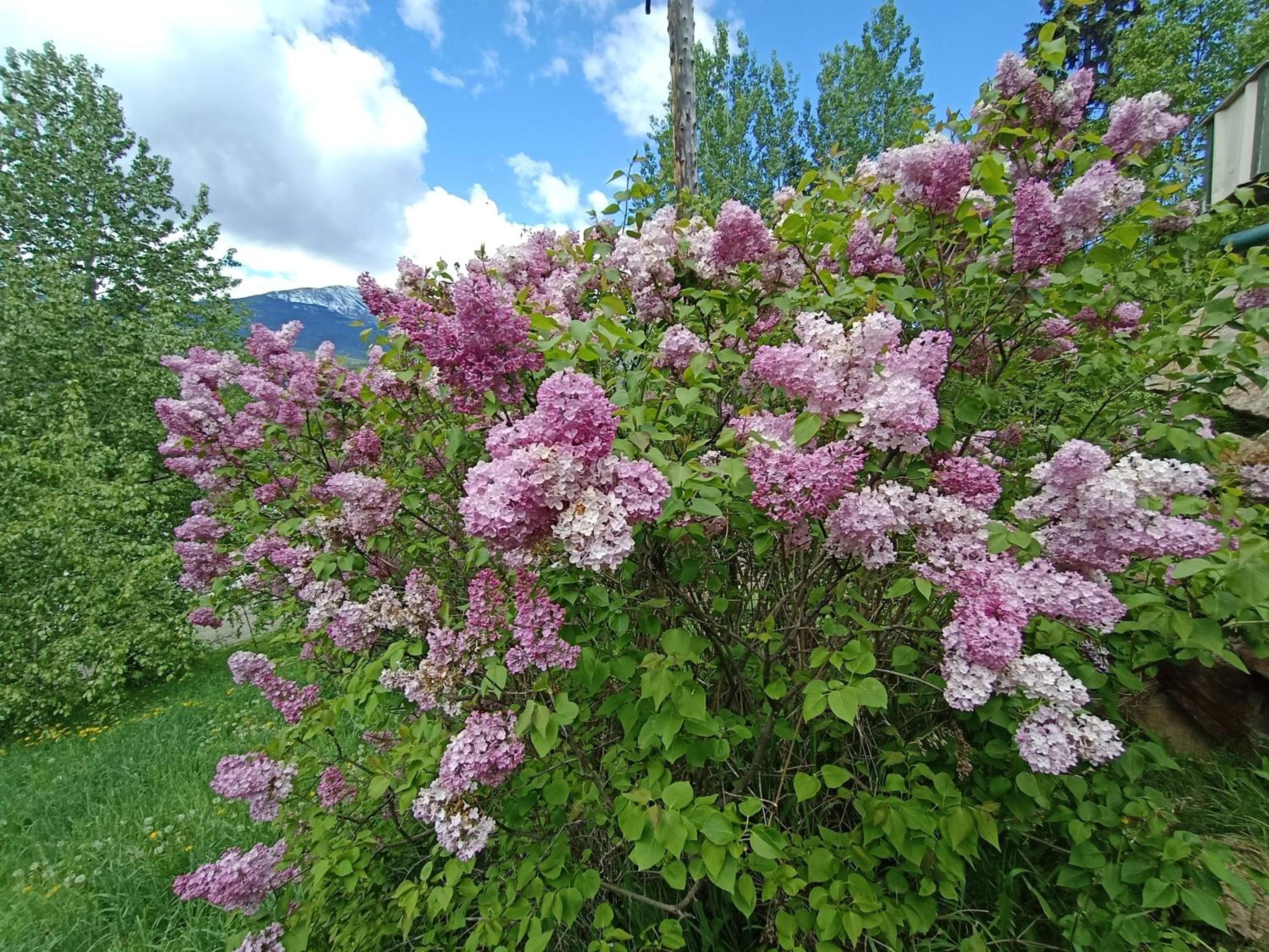 Golden Vacations - 2mins to Town, AC  Sauna, Self Check-in, Full Kitchen, Free Laundry  Parking, Family Pet Friendly, Comfortably Sleeps Up To 10 - Property Image 36