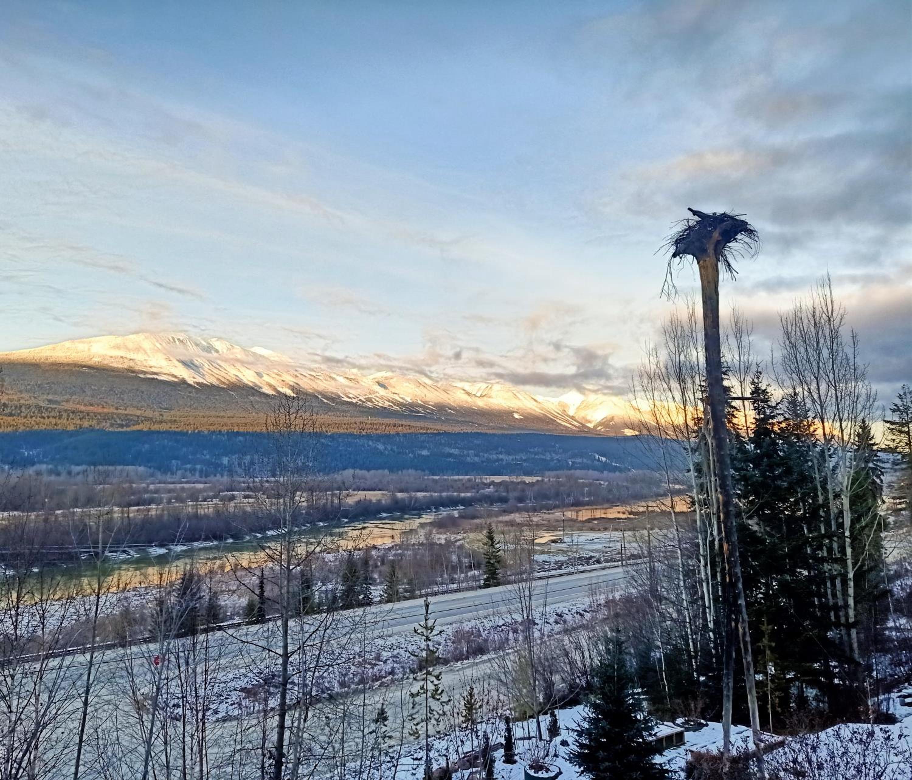 Golden Vacations - 2mins to Town, AC  Sauna, Self Check-in, Full Kitchen, Free Laundry  Parking, Family Pet Friendly, Comfortably Sleeps Up To 10 - Property Image 37