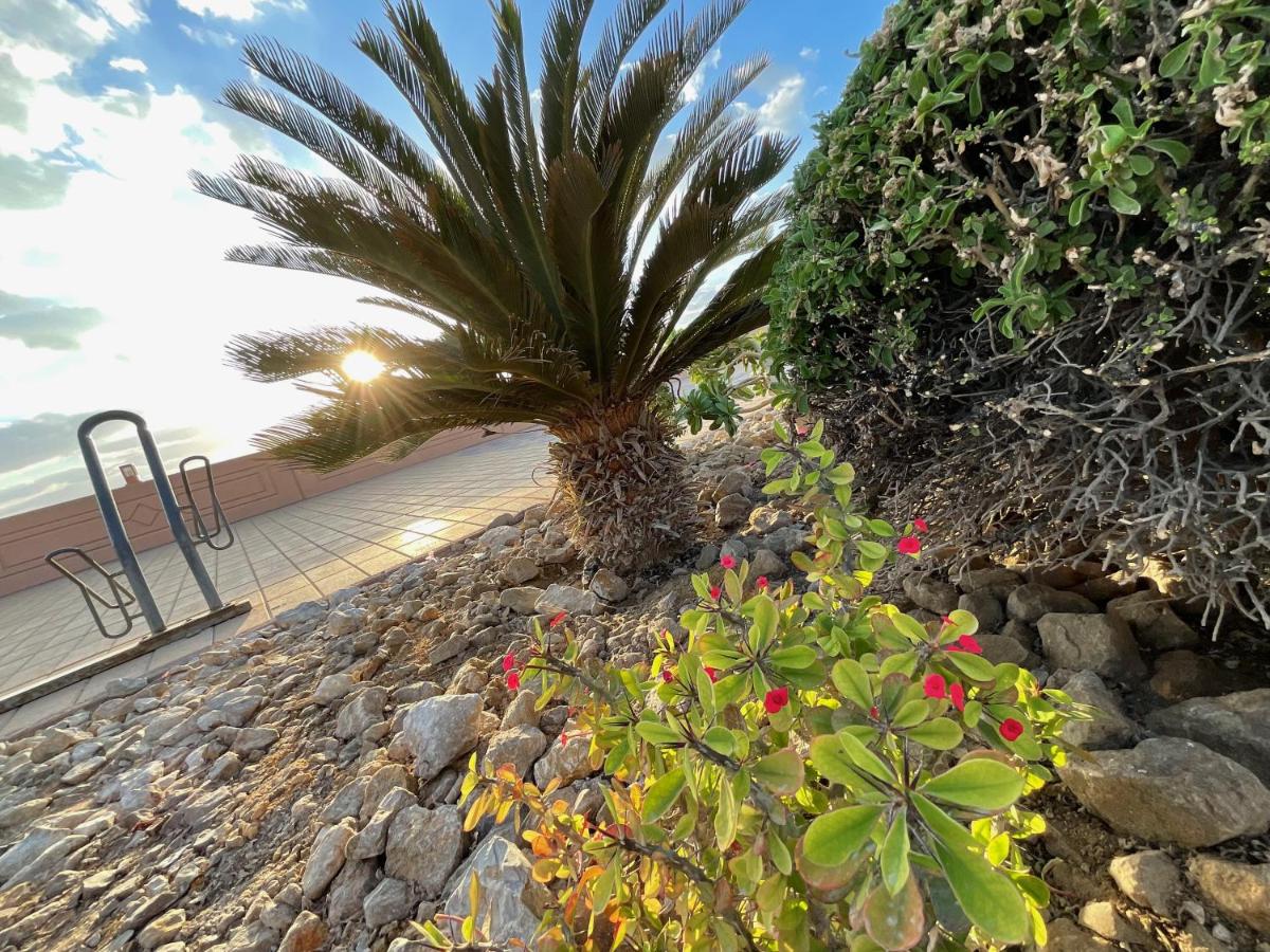 Lovely 1 bedroom holiday home on the beach