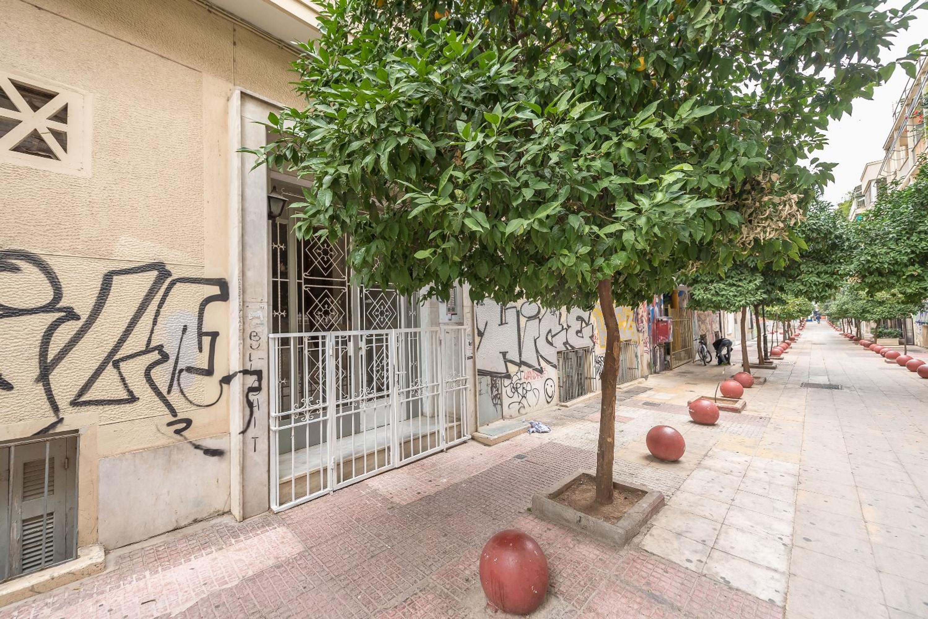 Plaza Familia (18)
