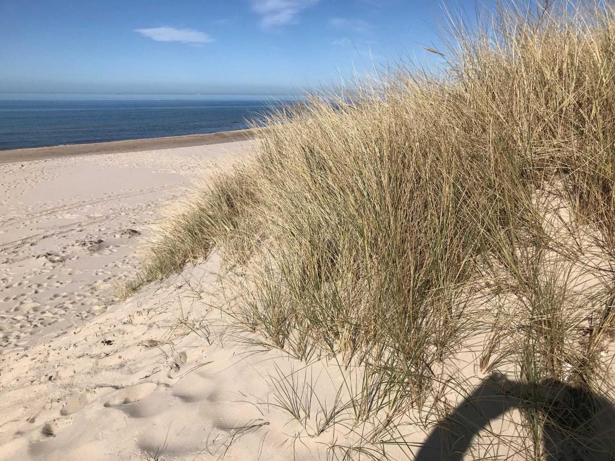 Haus am Meer Ferienhaus Insel Rueg