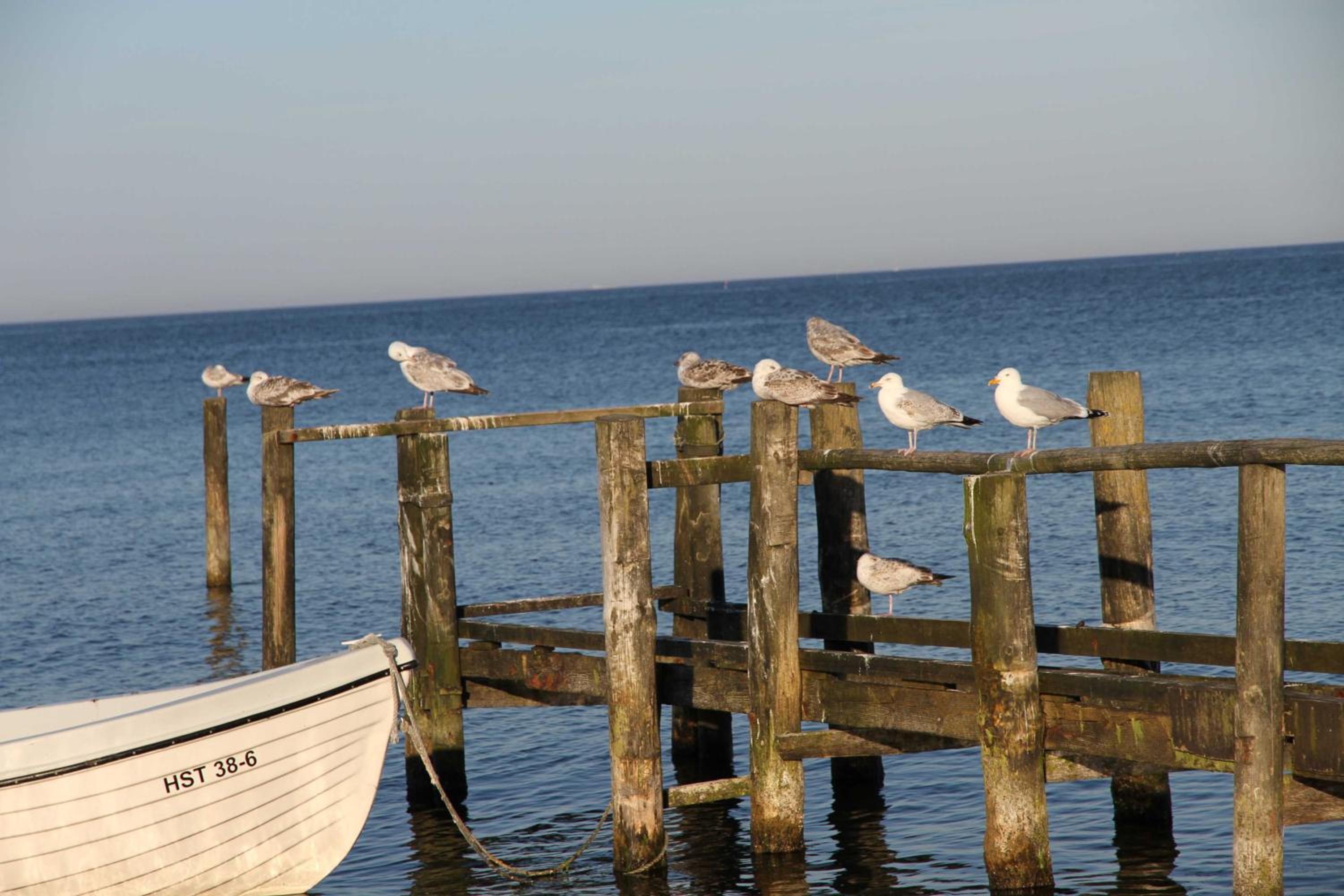 Haus am Meer Ferienhaus Insel Rueg