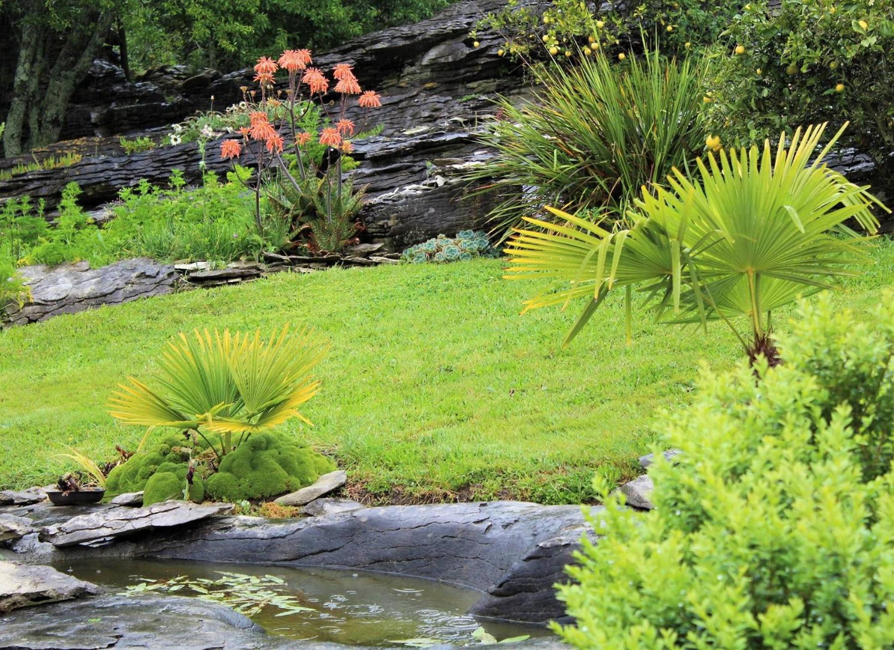 Labyrinth Gardens Guest House view 4