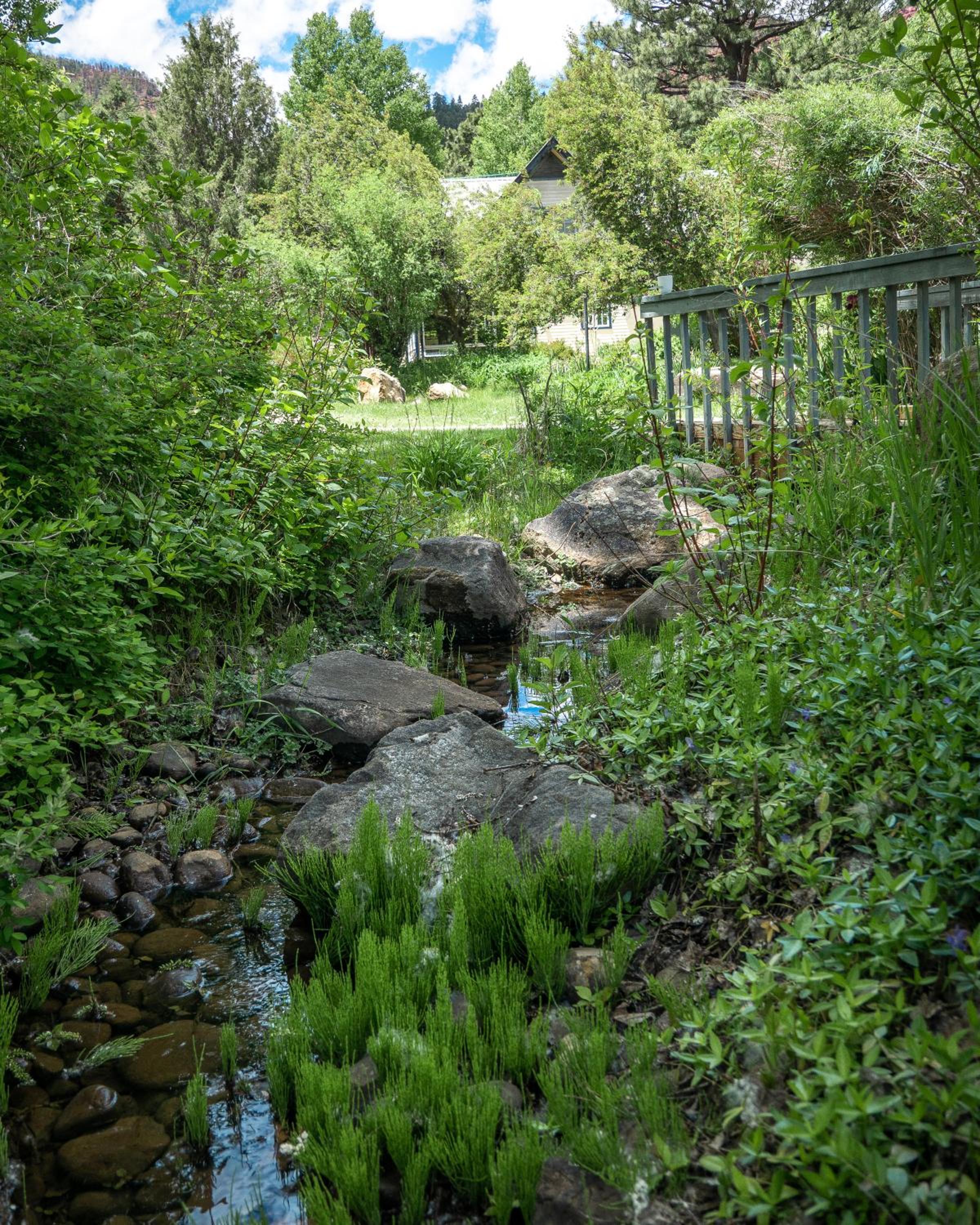Apple Orchard Inn
