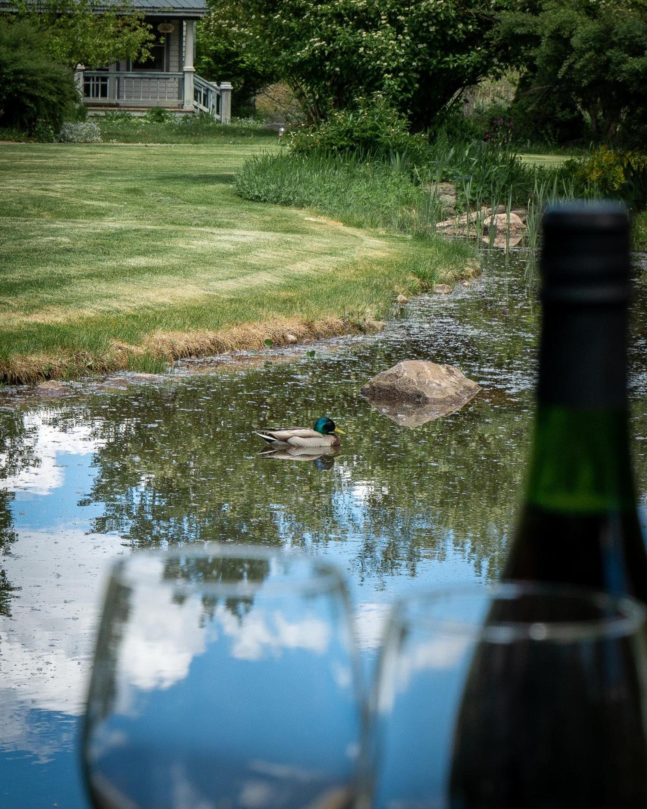 Apple Orchard Inn