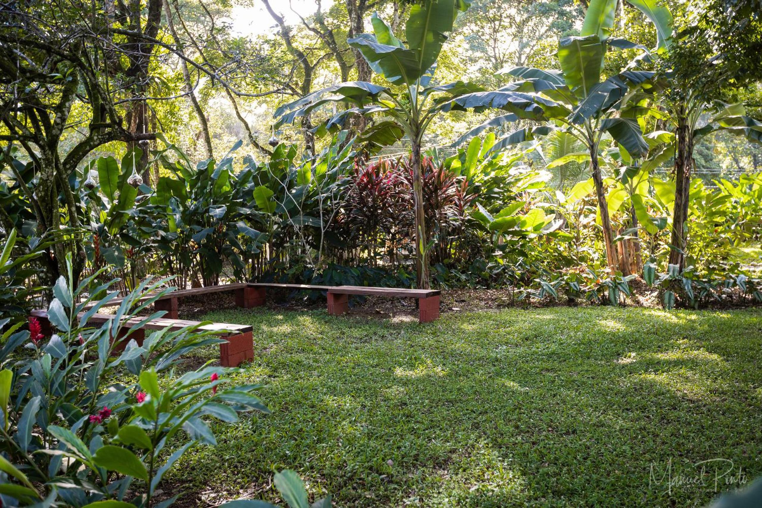 Puerto Viejo Club, Villas & Pool