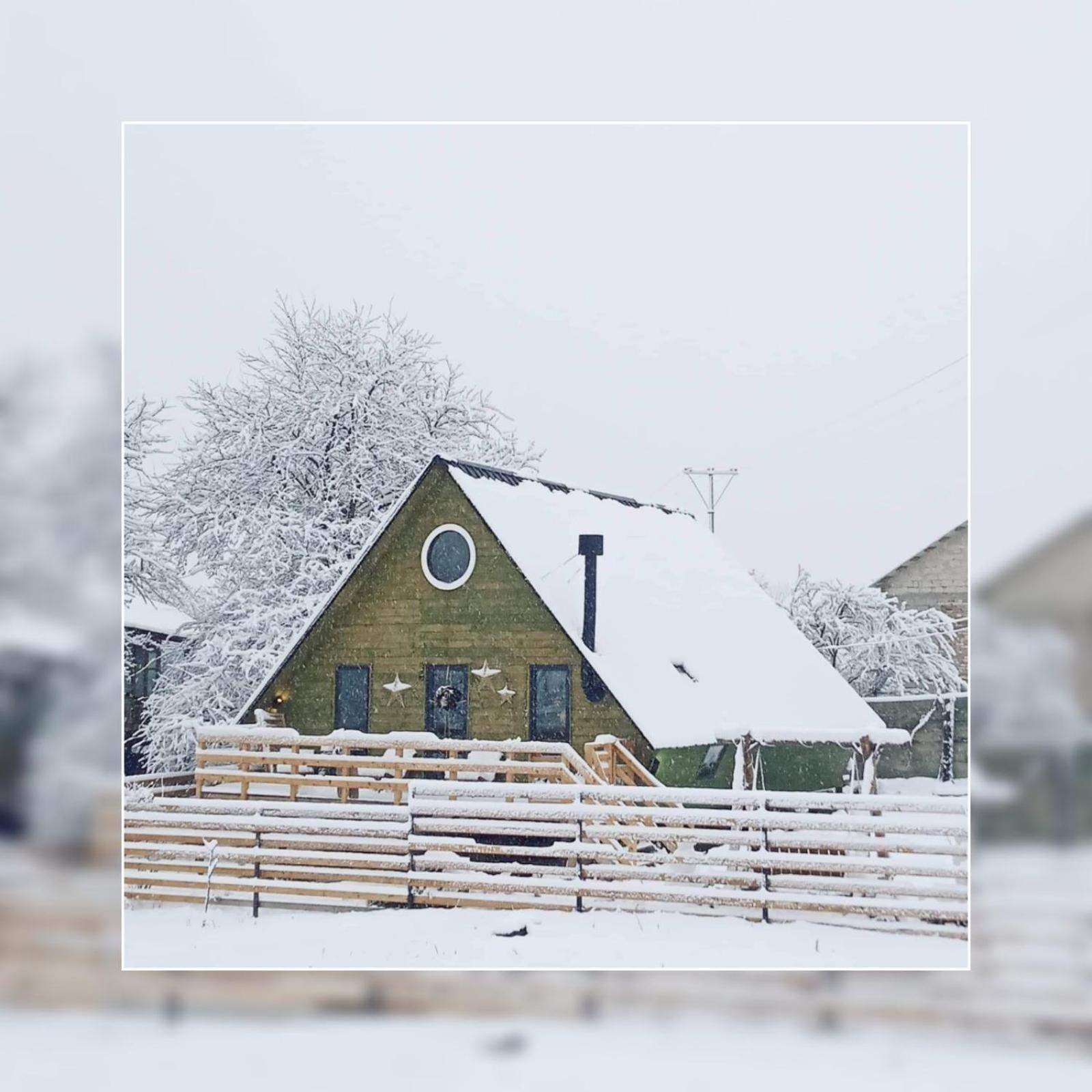 Wooden cottage "green house" in Bakuriani view 2