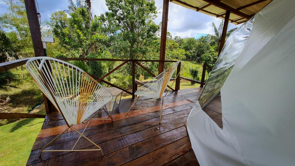 Entreselvas Glamping view 5
