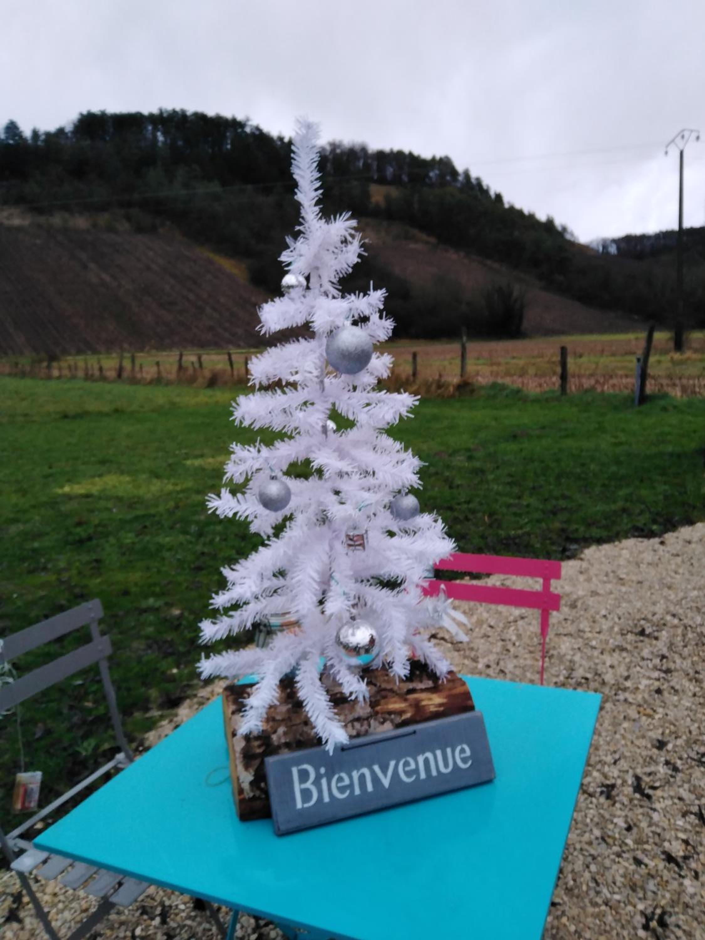 l'échappée belle en Champagne view 5