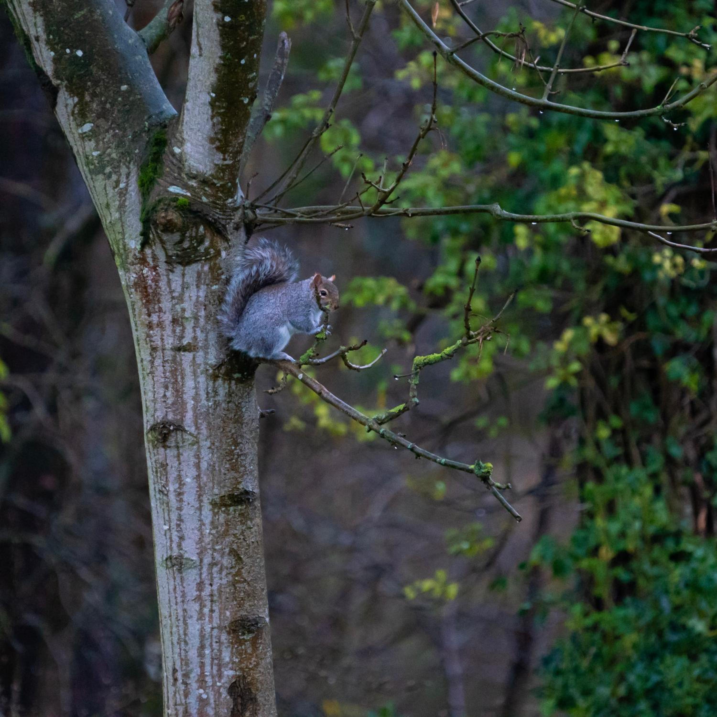 Retreat at The Knowe Auchincruive Estate