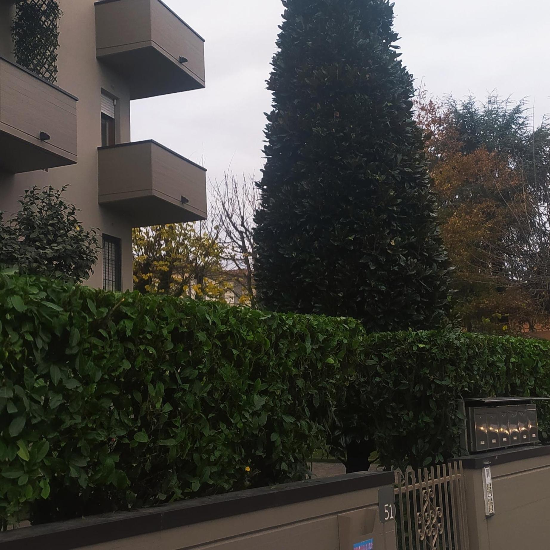 Civico 51Appartamento a Sassuolo