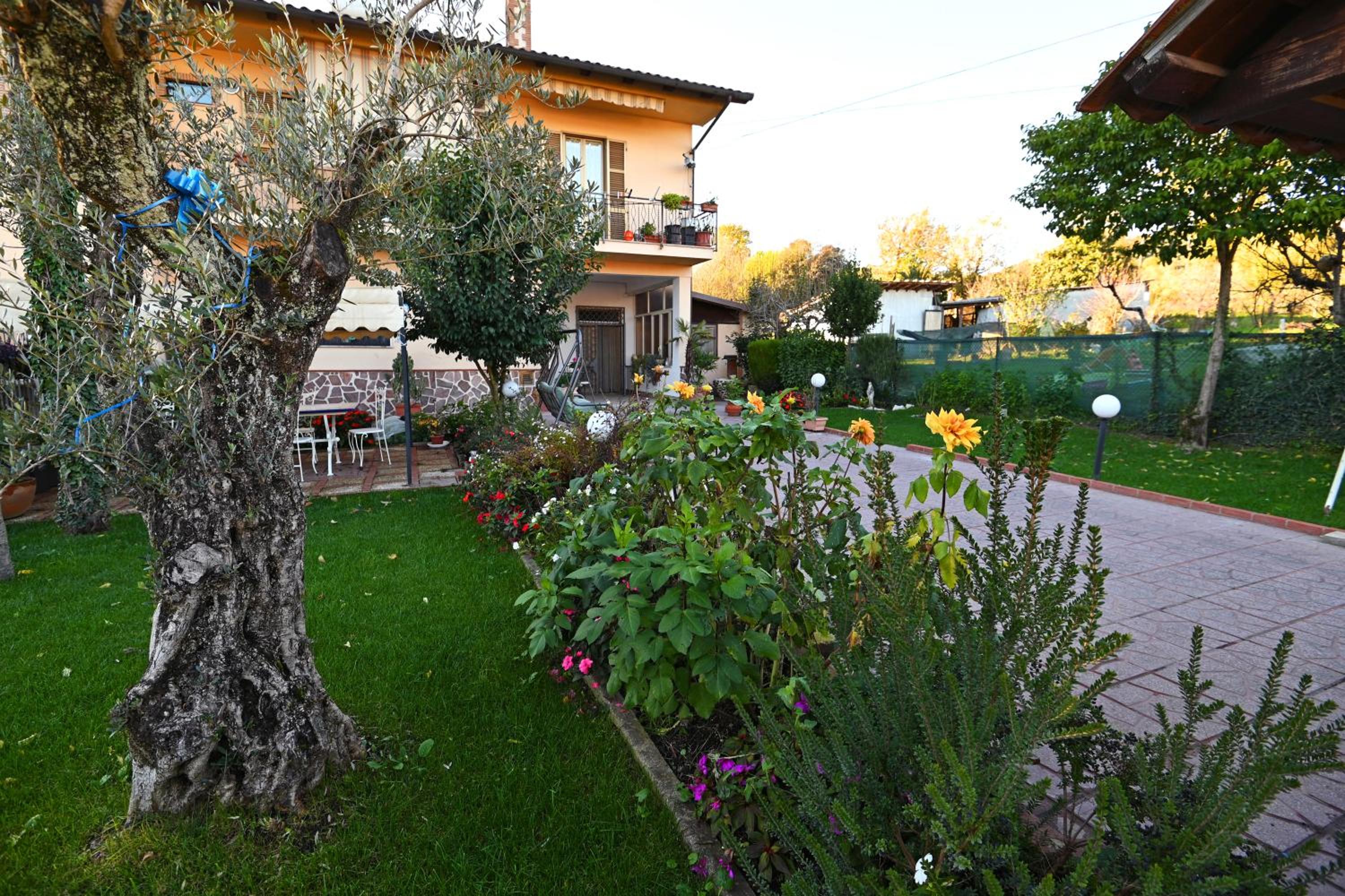 Il piccolo principe view 5